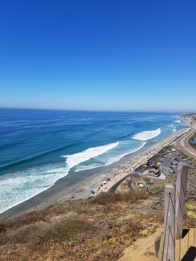 San Diego’s Torrey Pines State Natural Reserve and State Beaches