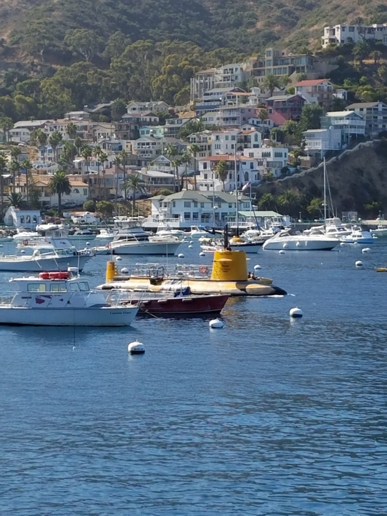 Exploring the Town of Avalon on Catalina Island