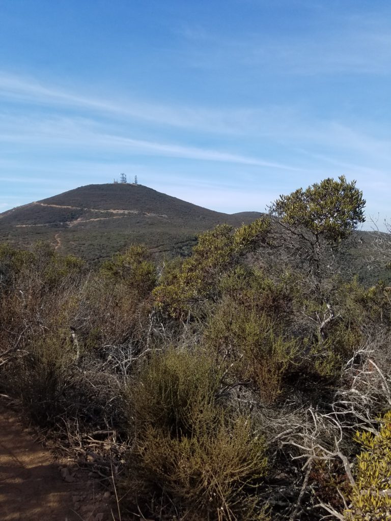 San Diego Hikes: Hiking in San Diego’s Black Mountain Open Space Park