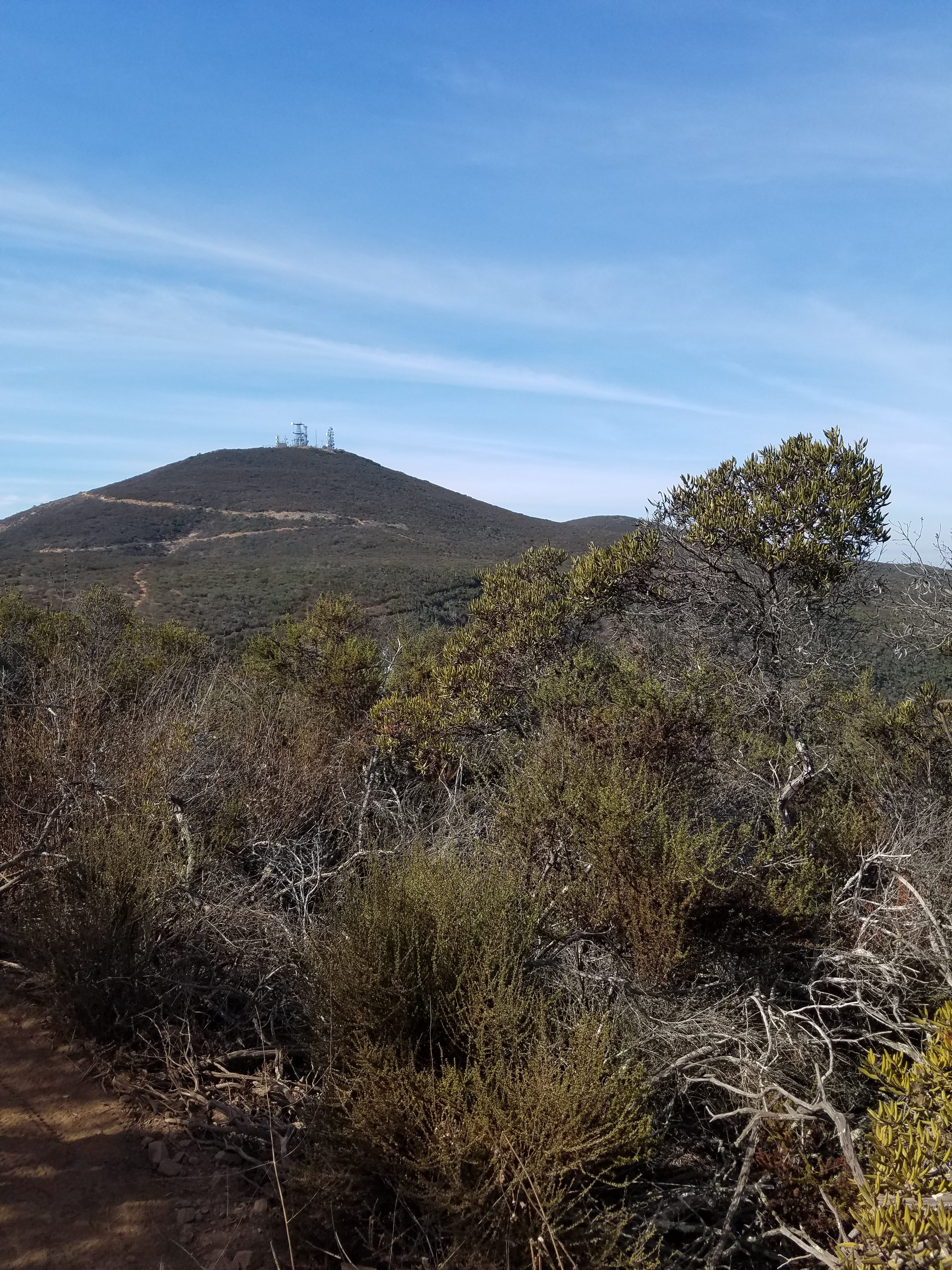 hiking in San Diego's Black Mountain Open Space Park