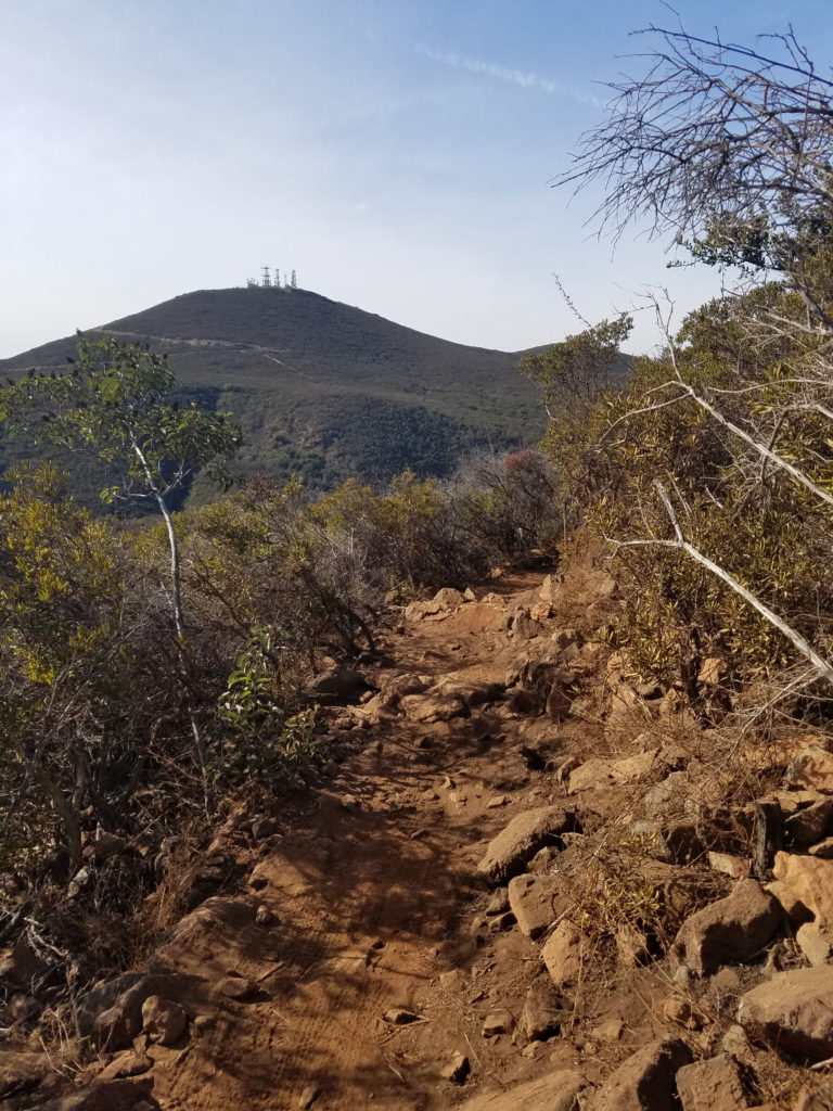 San Diego Hikes: Little Black Mountain Loop Trail