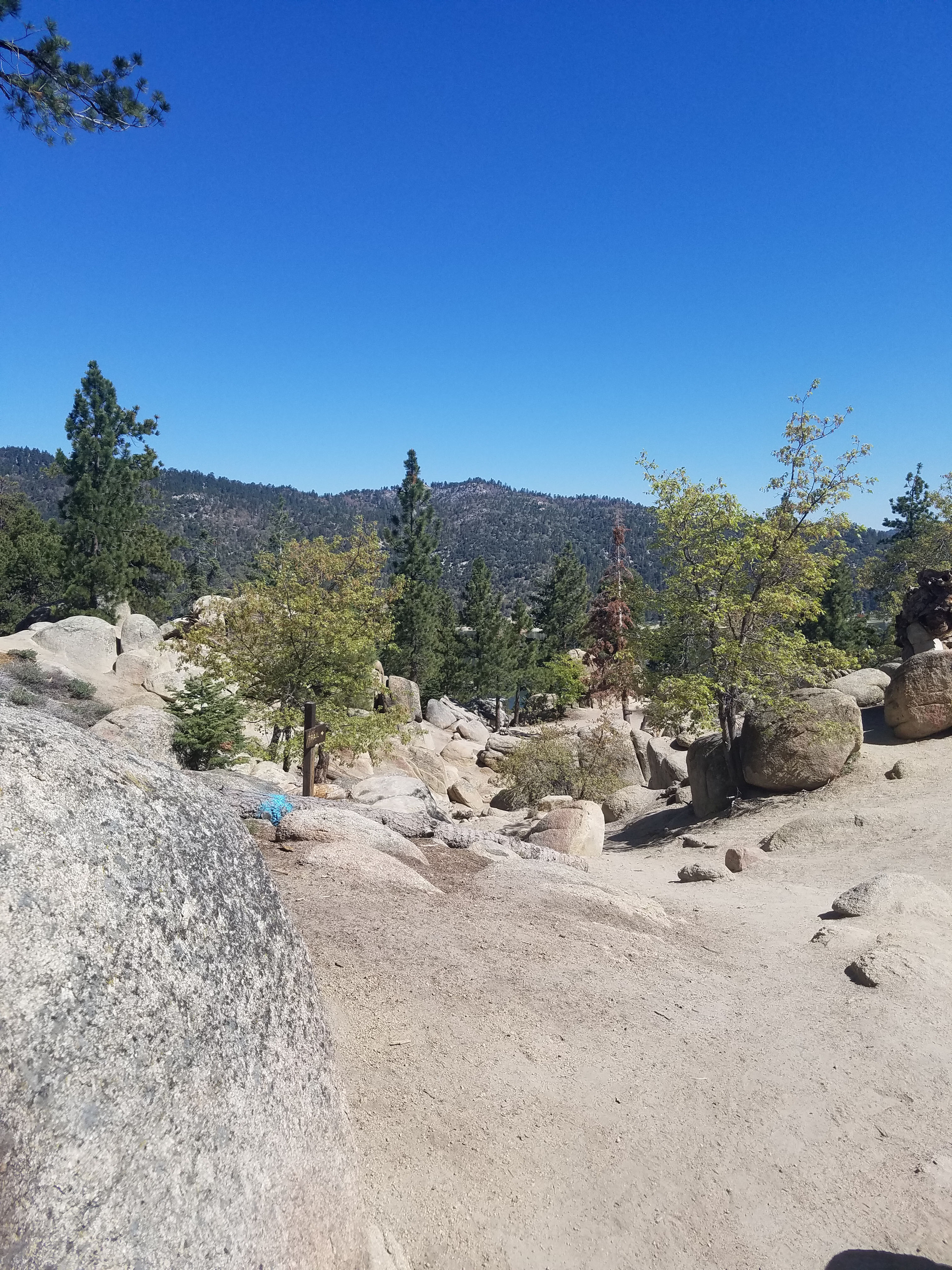 Castle Rock Trail