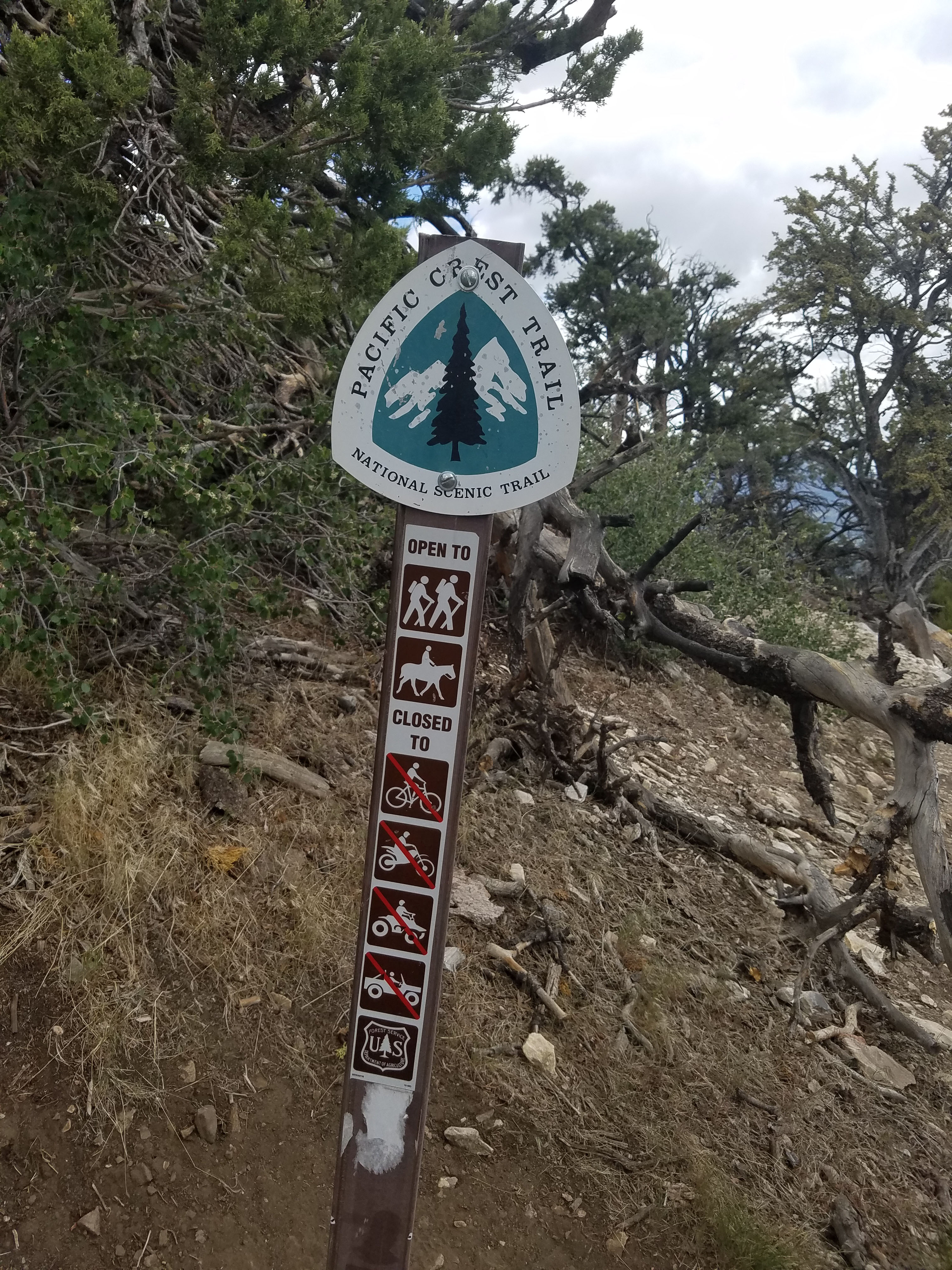 Cougar Crest Trail