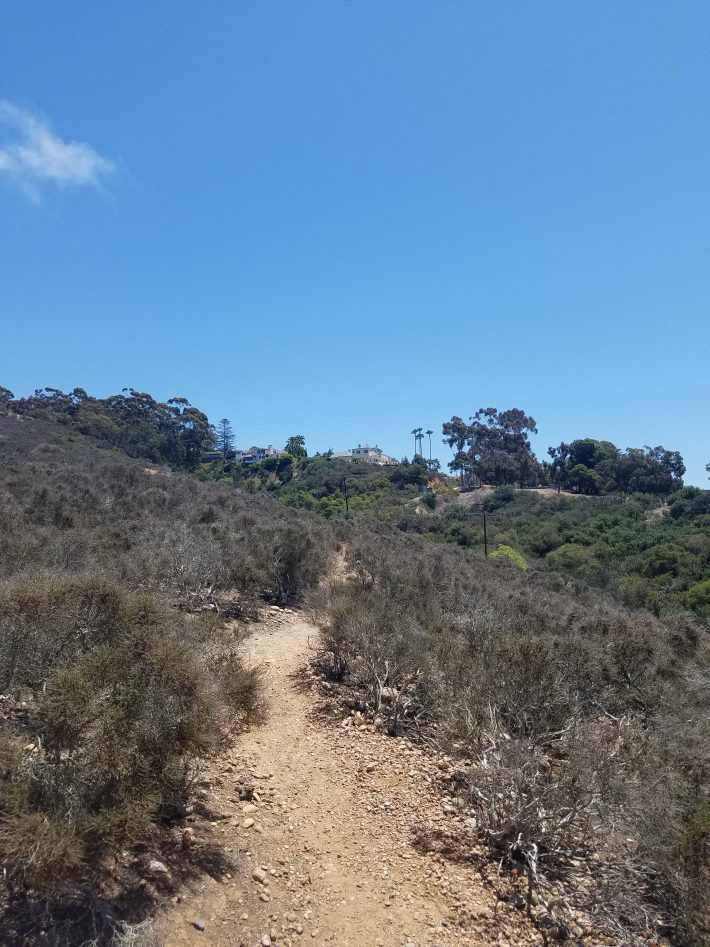 San Diego Hikes: La Jolla Heights Open Space Preserve - Fun Diego Family