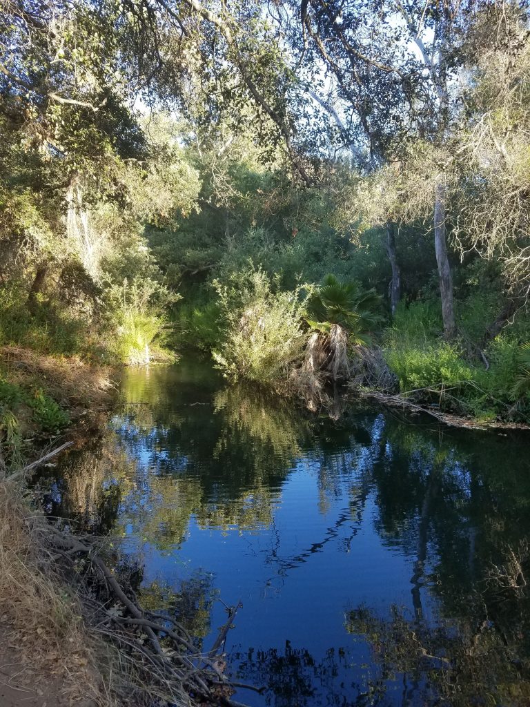 San Diego Hikes: Los Penasquitos Canyon East to the Waterfall