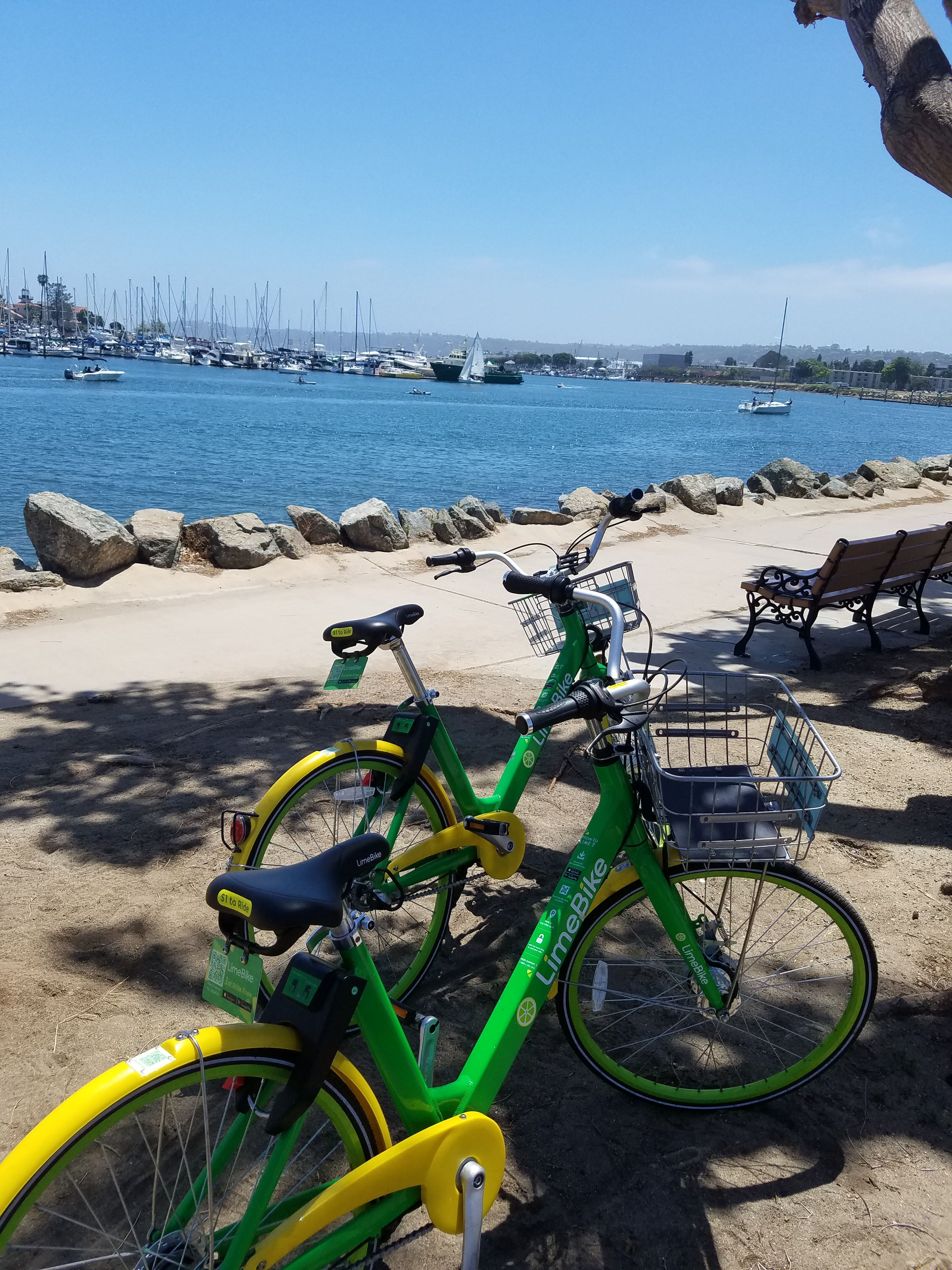 Biking San Diego Harbor