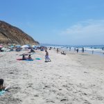 Torrey Pines State Beach South