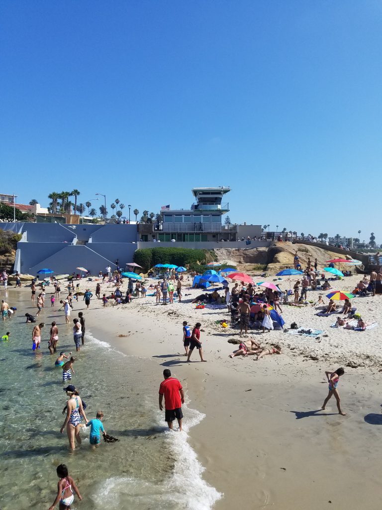 San Diego Beaches: Children’s Pool