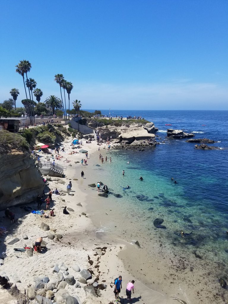 San Diego Beaches: La Jolla Cove