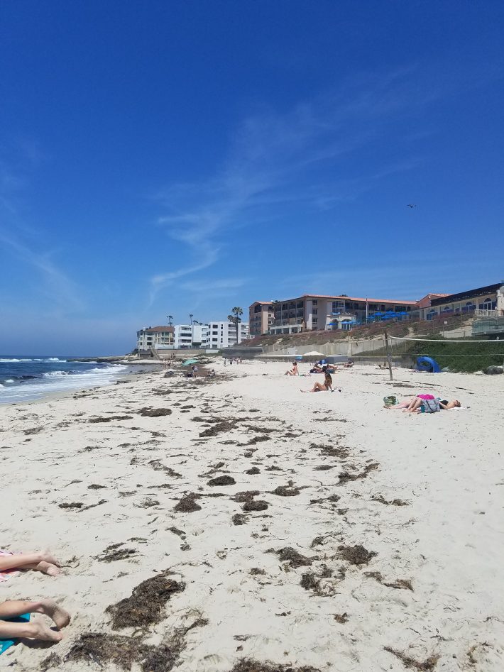 San Diego Beaches: Whispering Sands and Marine Street Beach in La Jolla ...