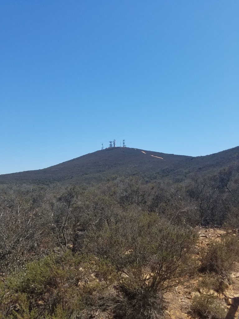 San Diego Hikes: Miner’s Ridge Loop and Trail For All People at Black Mountain