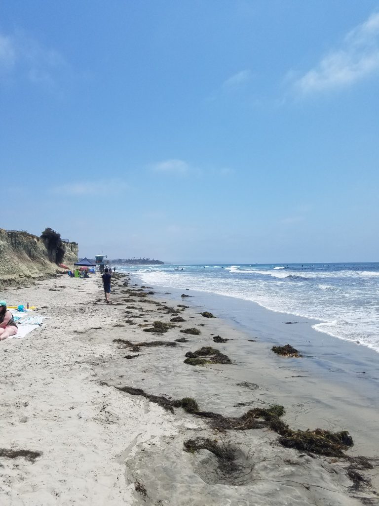 San Diego Beaches: San Elijo State Beach