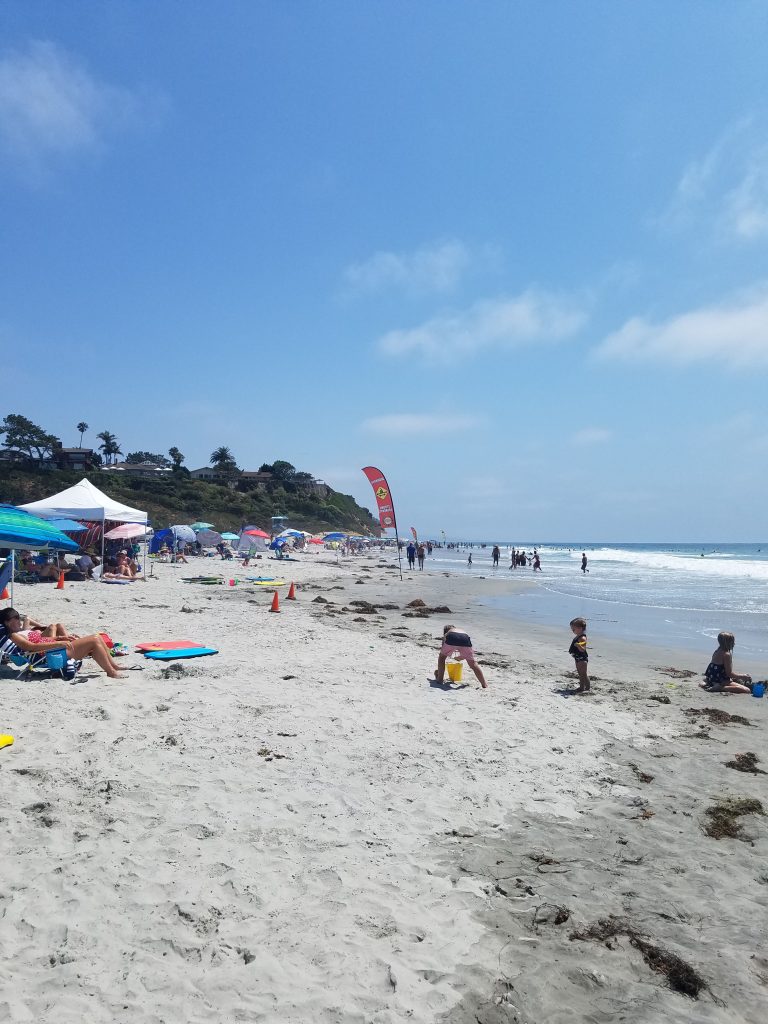 San Diego Beaches: Seaside Beach in Cardiff-by-the-Sea - Fun Diego Family