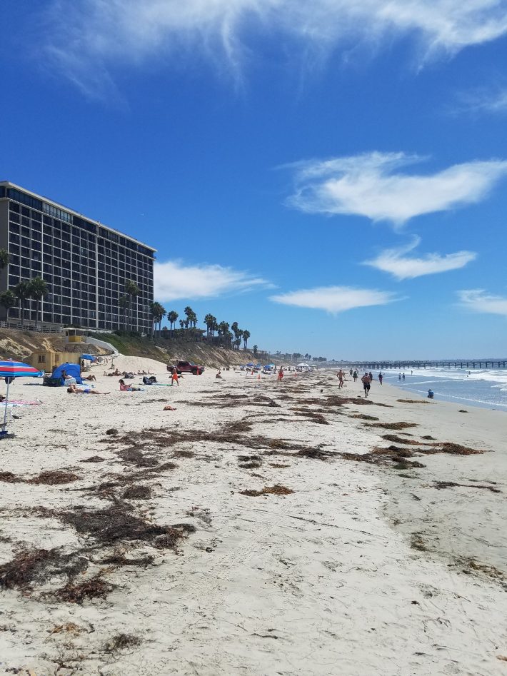 San Diego Beaches: North Pacific Beach at Law Street - Fun Diego Family