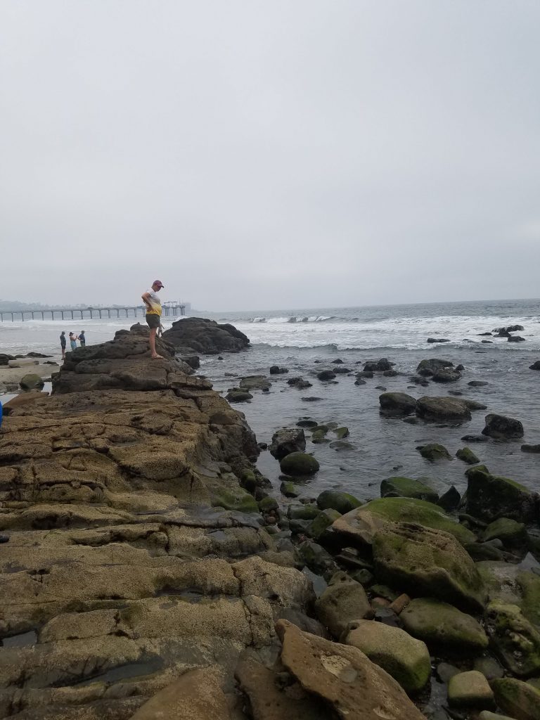 San Diego Beaches: Scripps Beach Dike Rock - Fun Diego Family