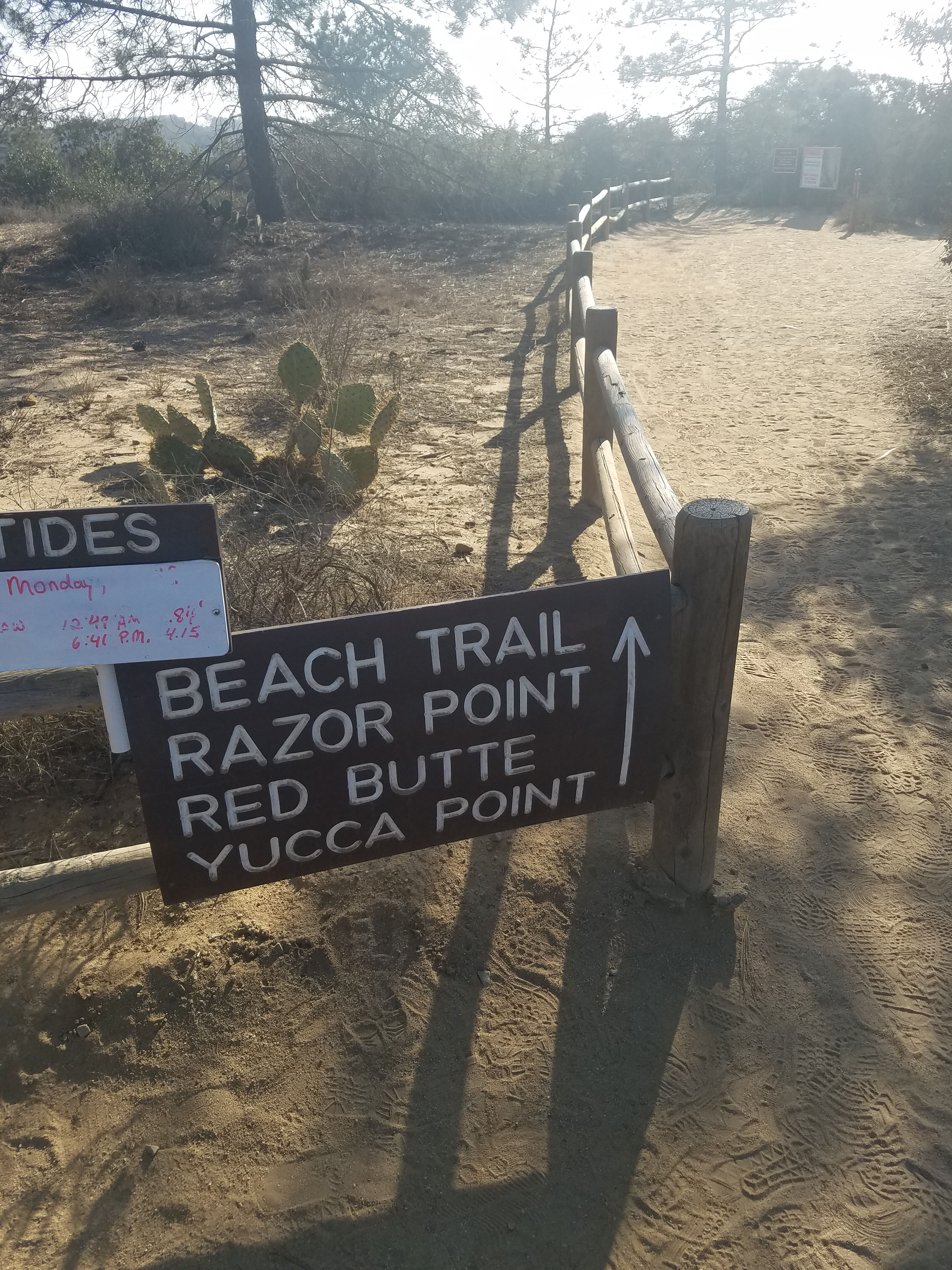 Torrey Pines Beach Trail
