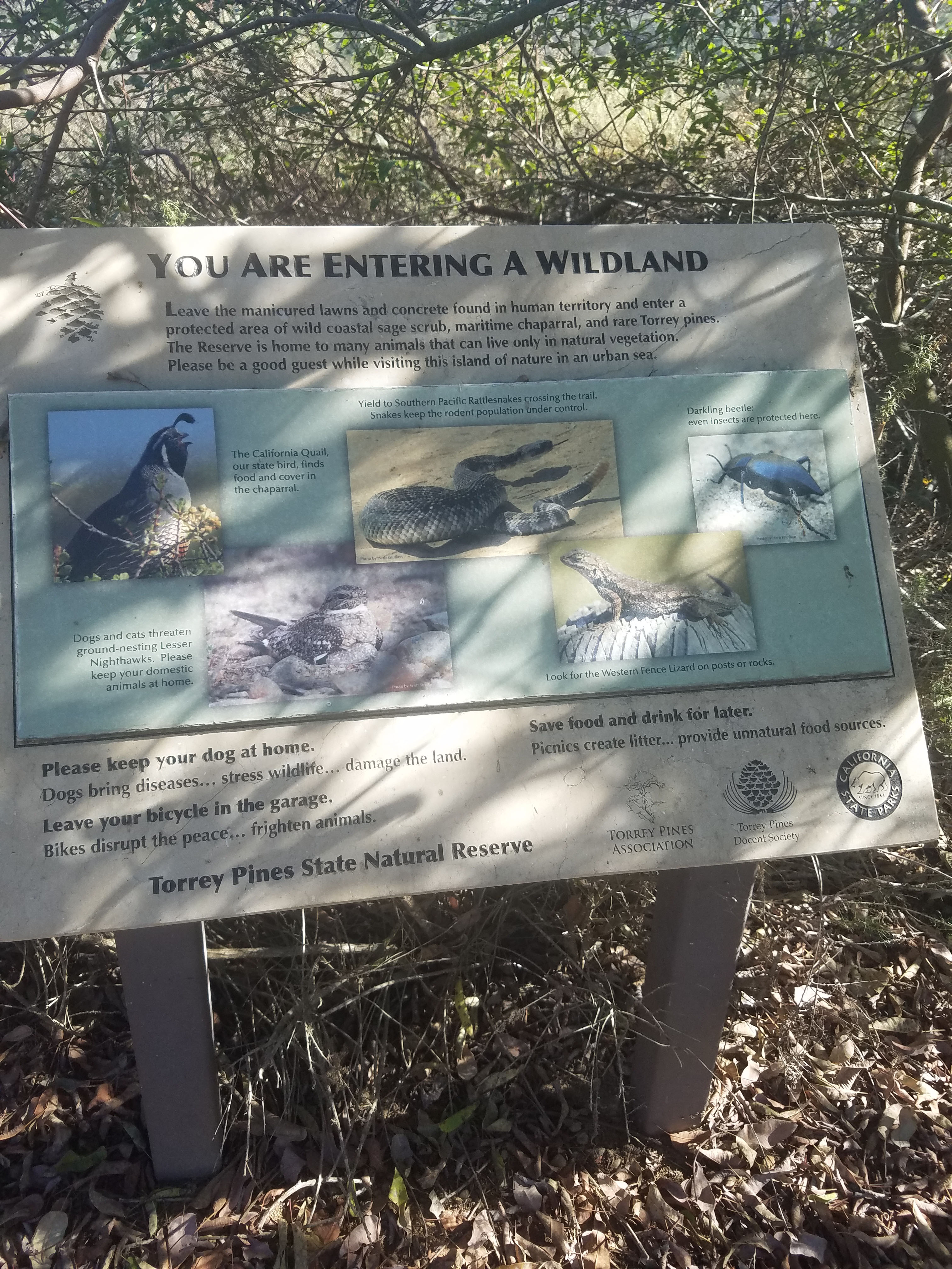 Torrey Pines Reserve Extension