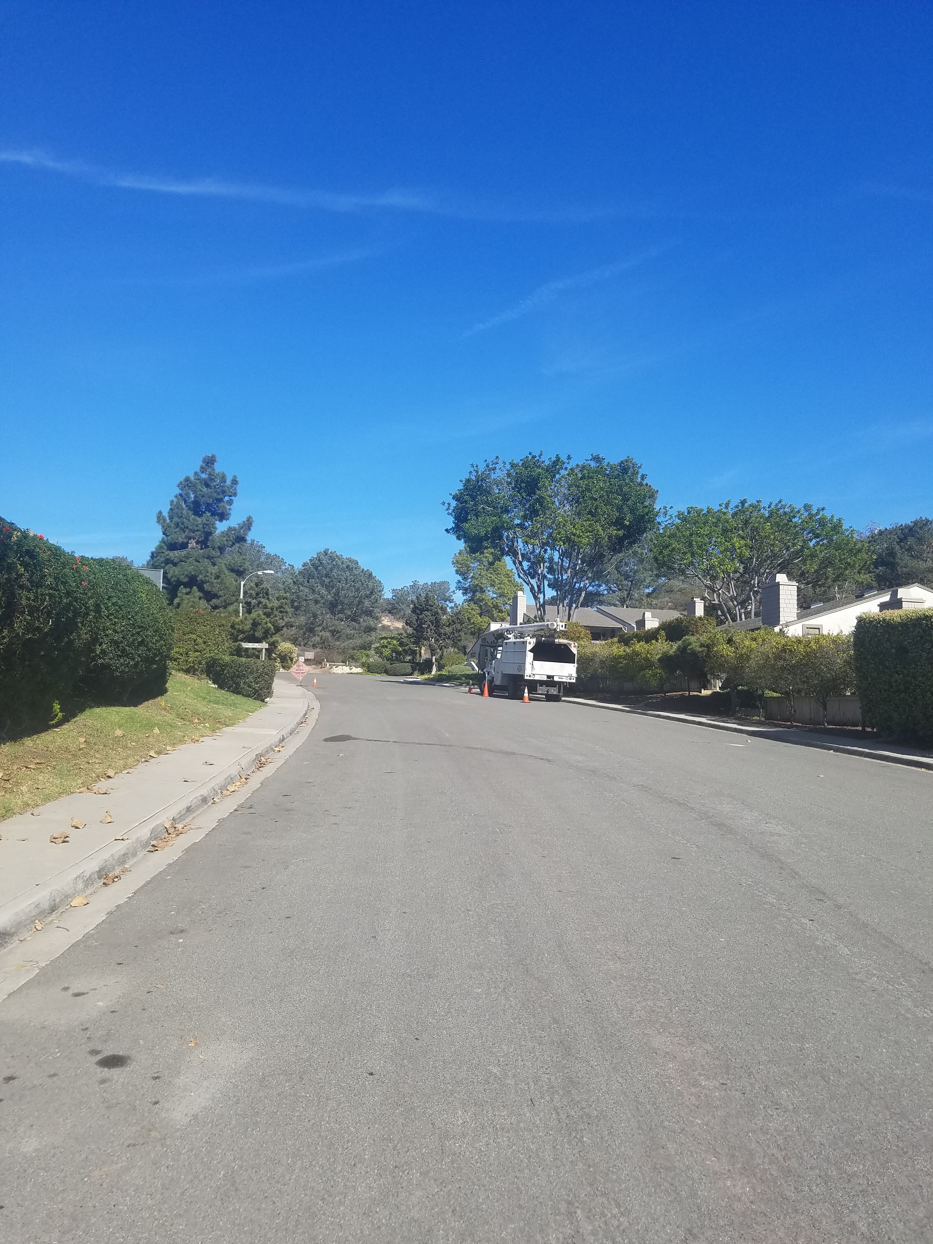 Torrey Pines Reserve Extension