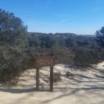 Torrey Pines Reserve Extension
