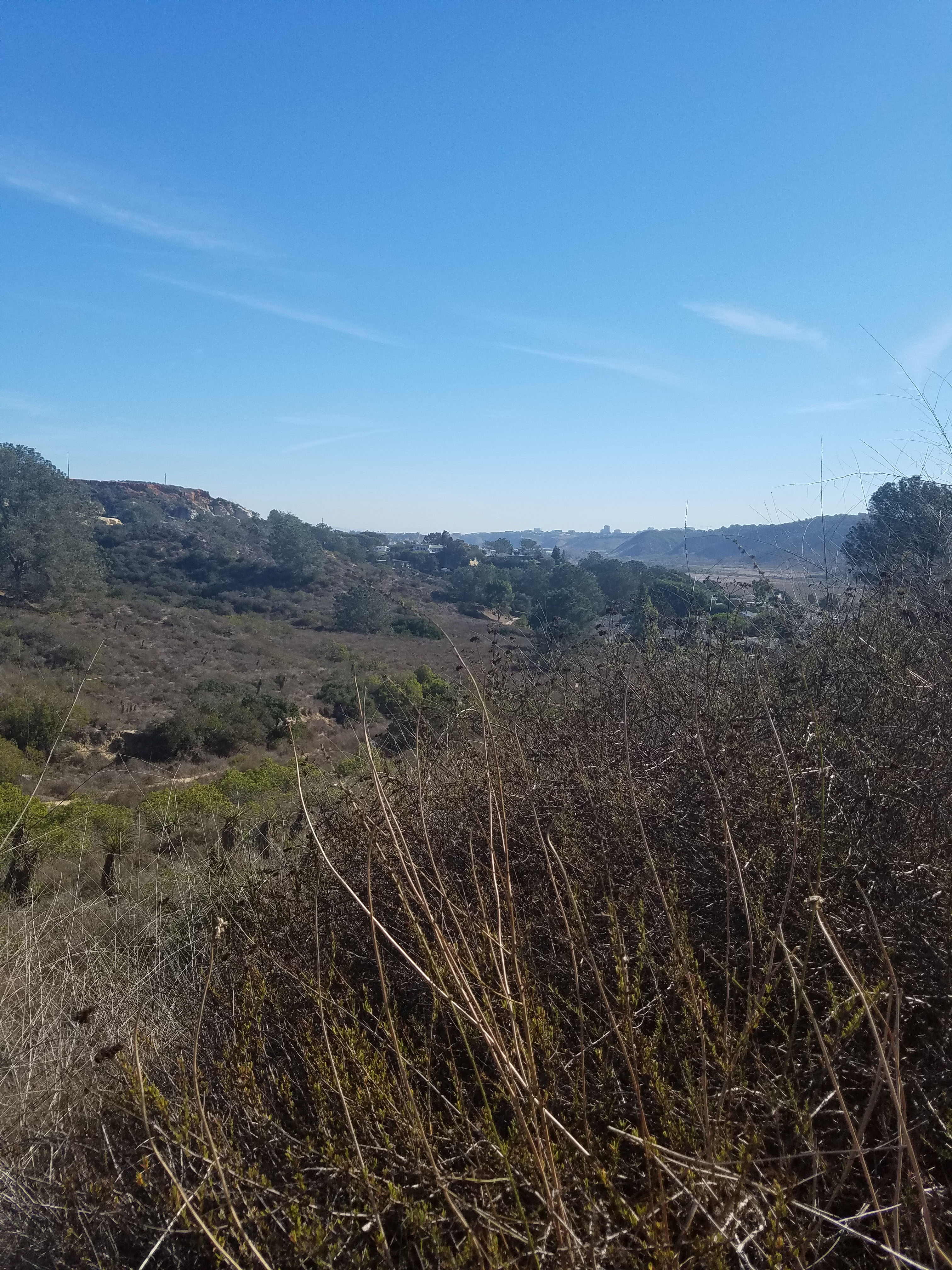 Torrey Pines Reserve Extension