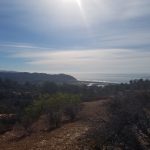 Torrey Pines Reserve Extension Margaret Fleming