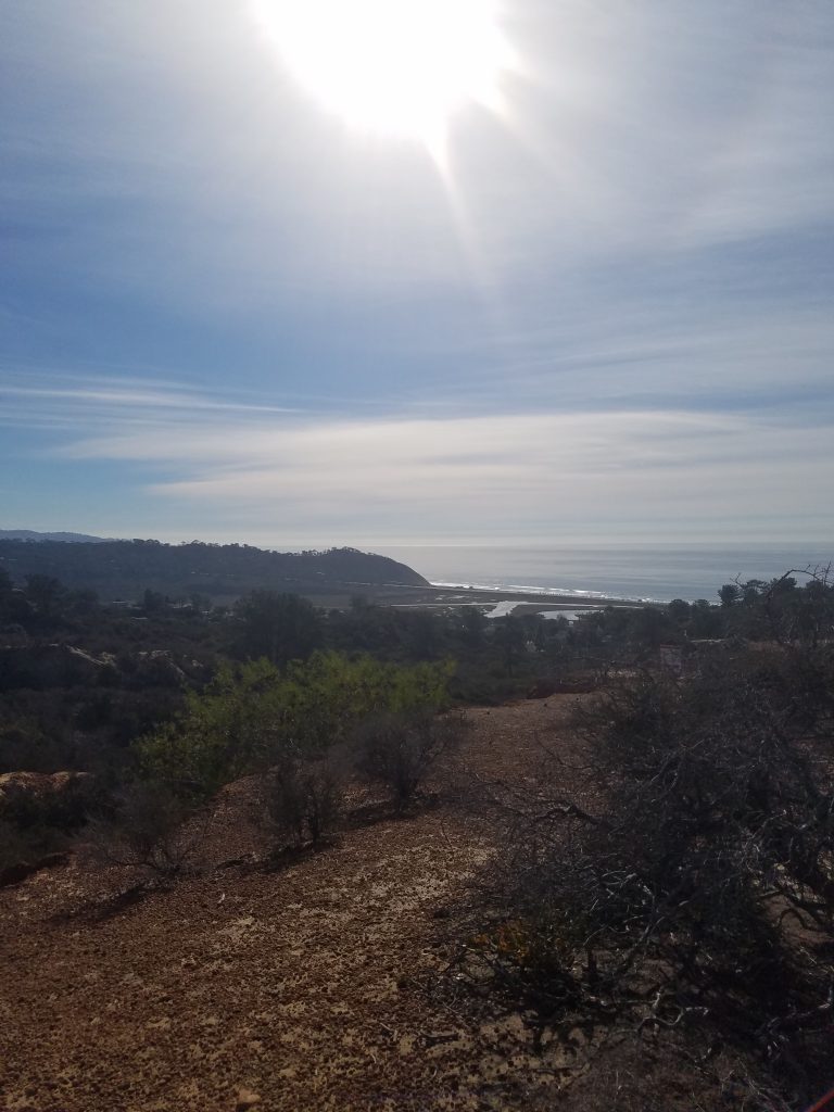 San Diego Hikes: Torrey Pines Reserve Extension Margaret Fleming Nature Trail and Red Ridge Trail