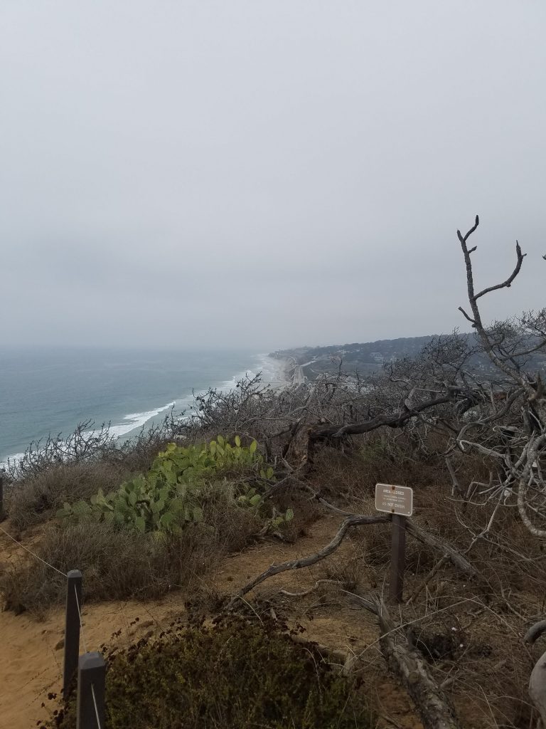 San Diego Hikes: Torrey Pines Guy Fleming Trail
