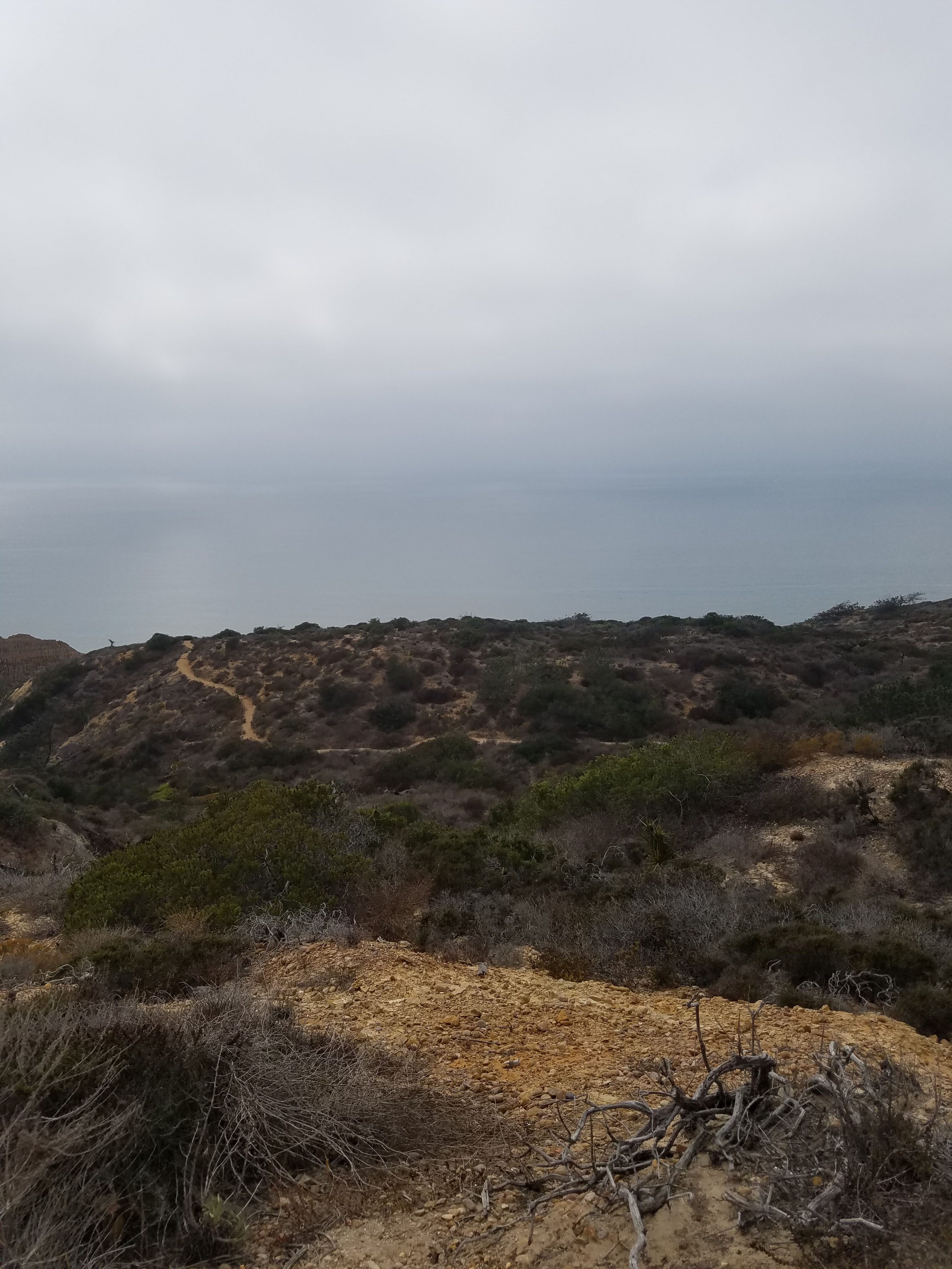 Torrey Pines Parry Grove Trail