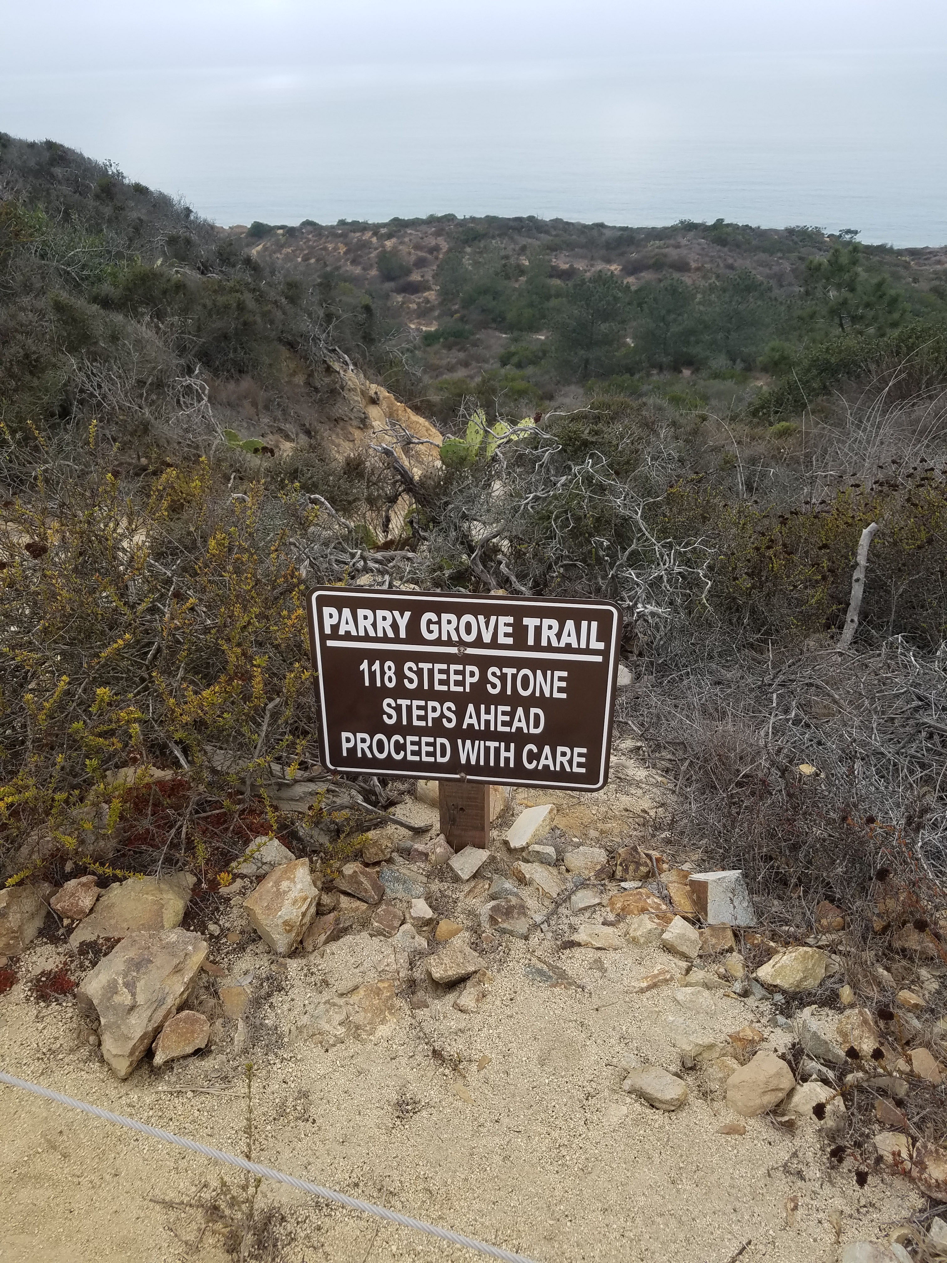 Torrey Pines Parry Grove Trail