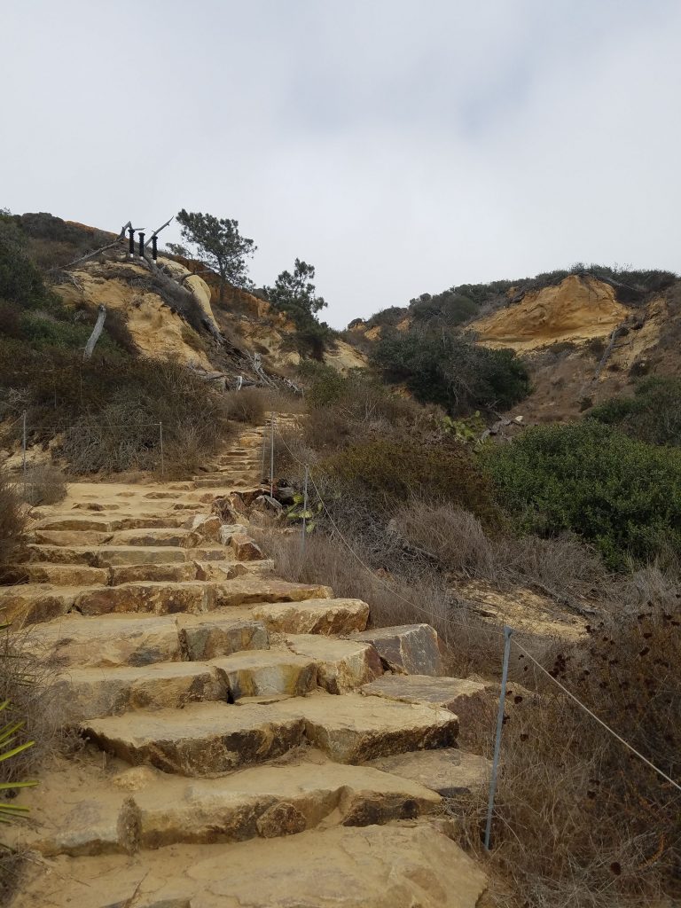 San Diego Hikes: Torrey Pines Parry Grove Trail