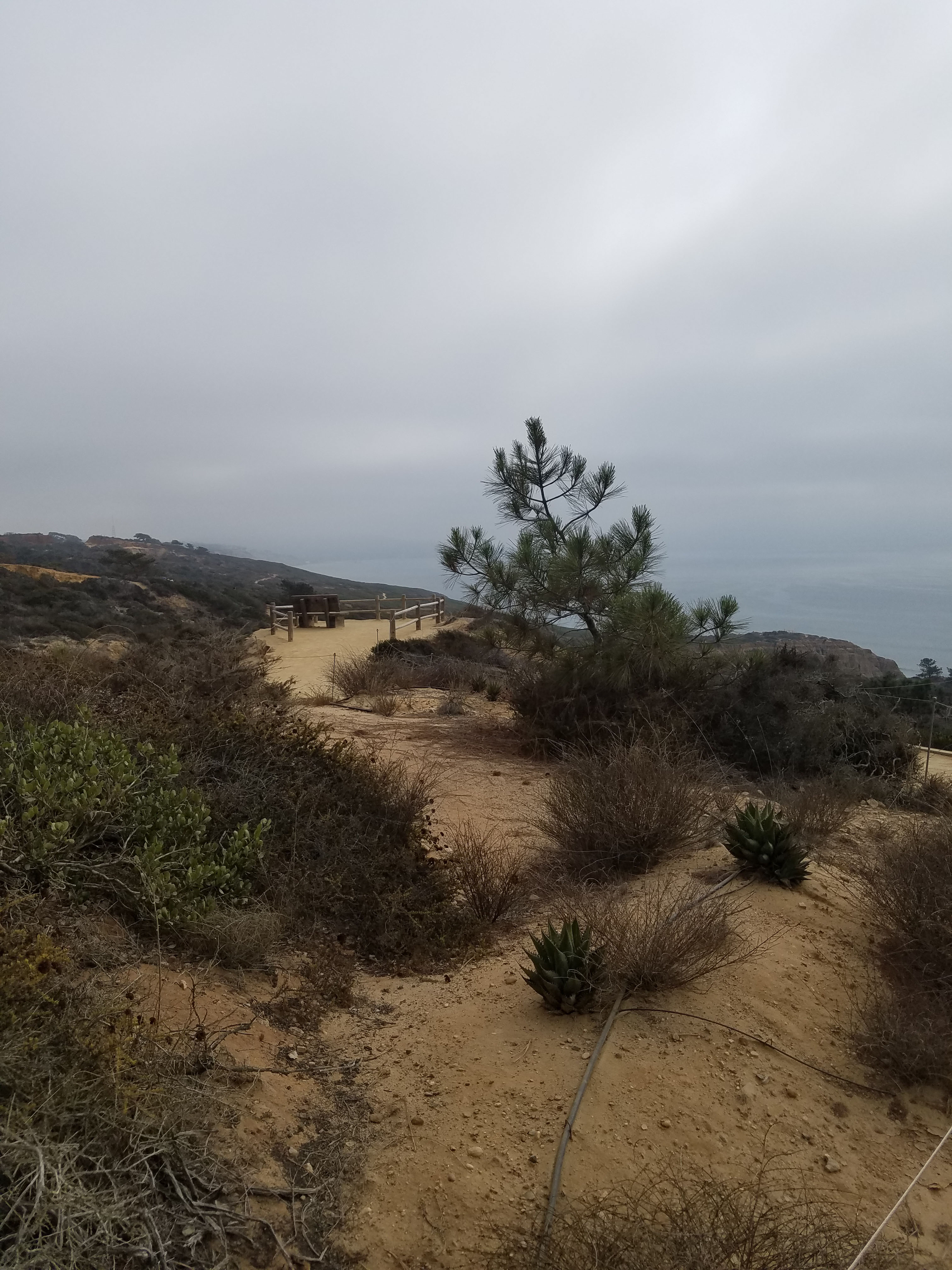 Torrey Pines State Natural Reserve Accessible Trails