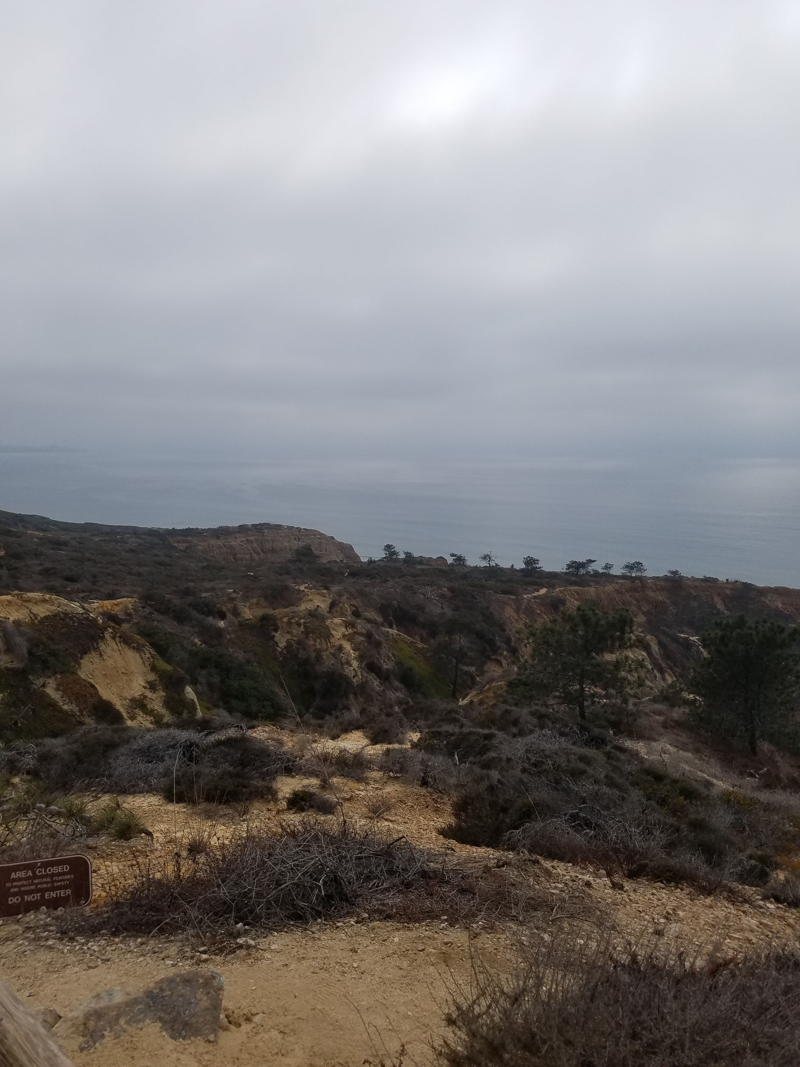 Torrey Pines State Natural Reserve Accessible Trails