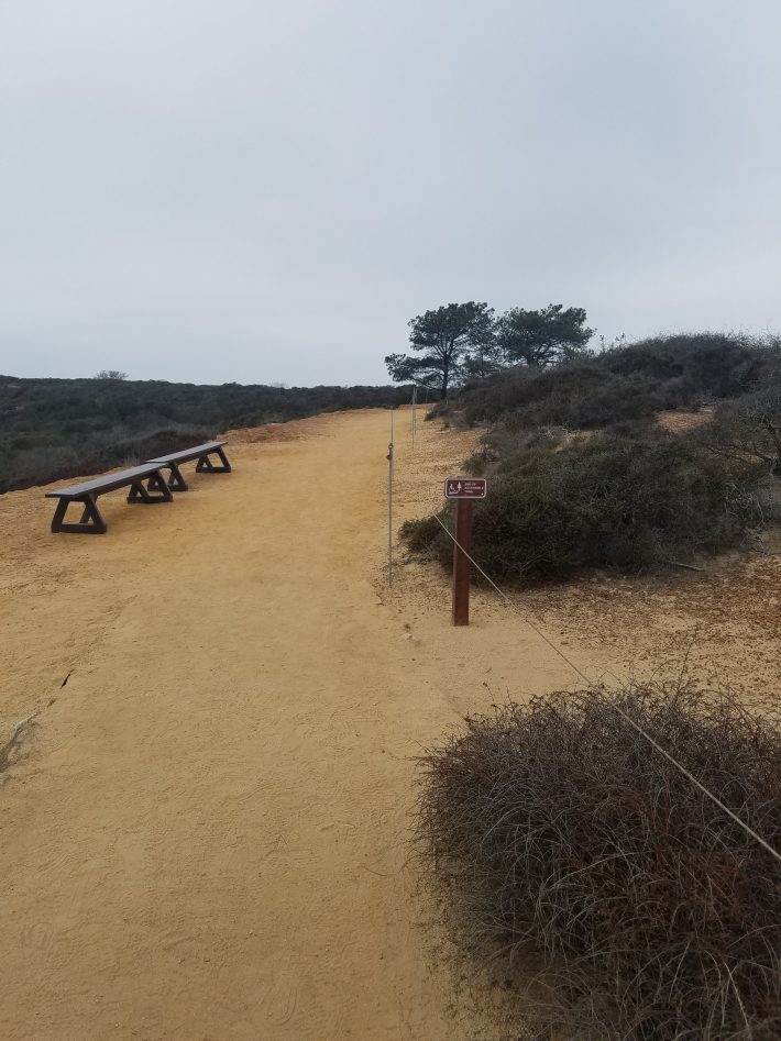 San Diego Hikes: Torrey Pines South Fork and Broken Hill Overlook Trails