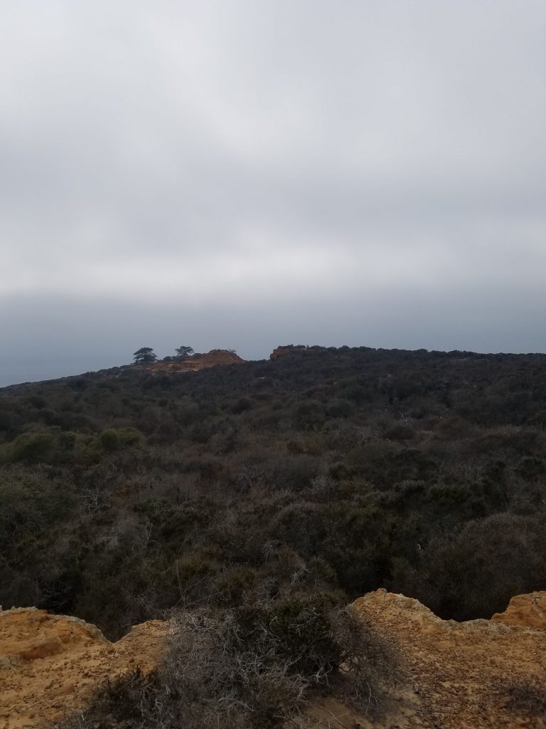 San Diego Hikes: Torrey Pines South Fork and Broken Hill Overlook Trails