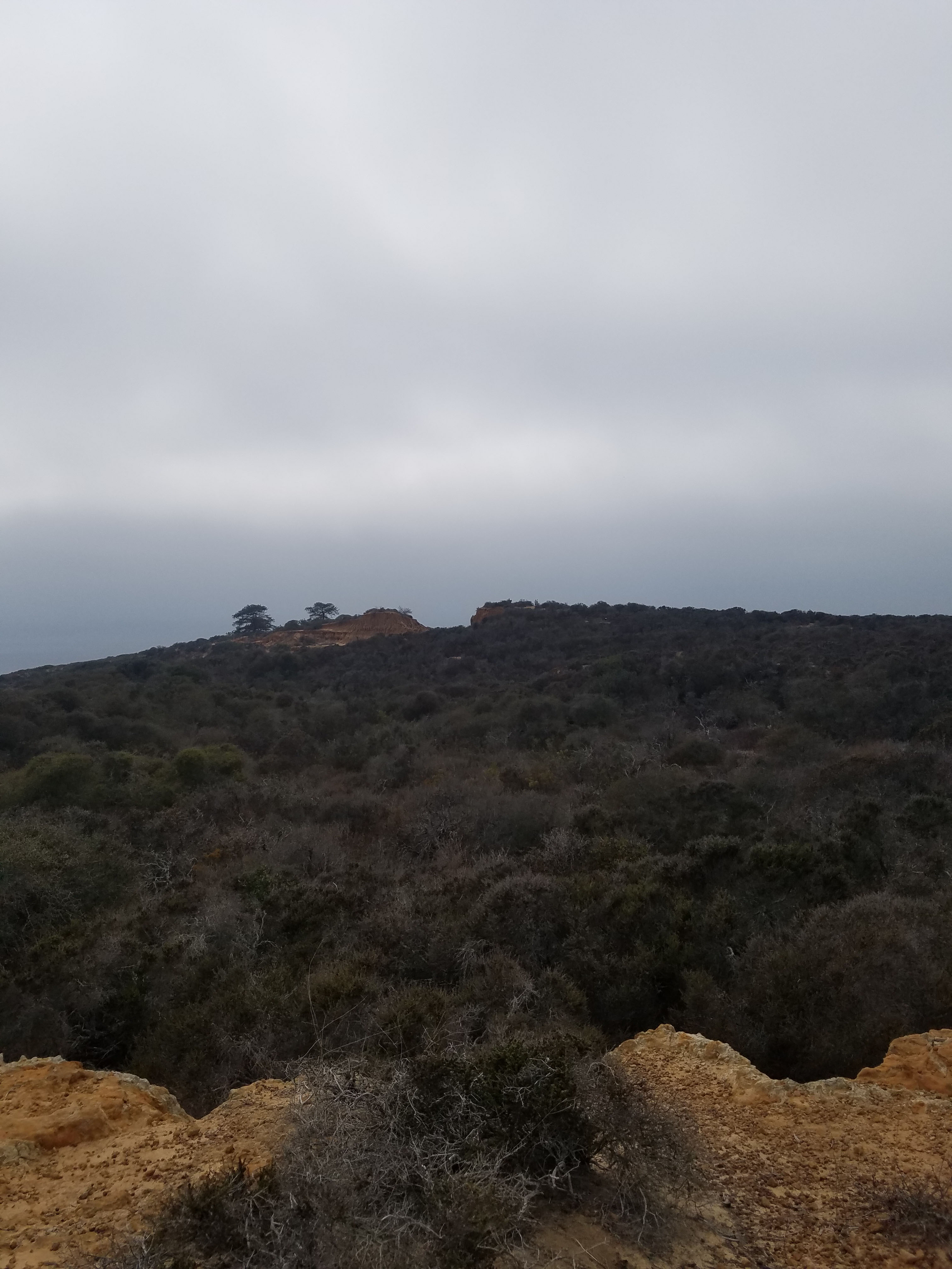 South Fork and Broken Hill Overlook Trails