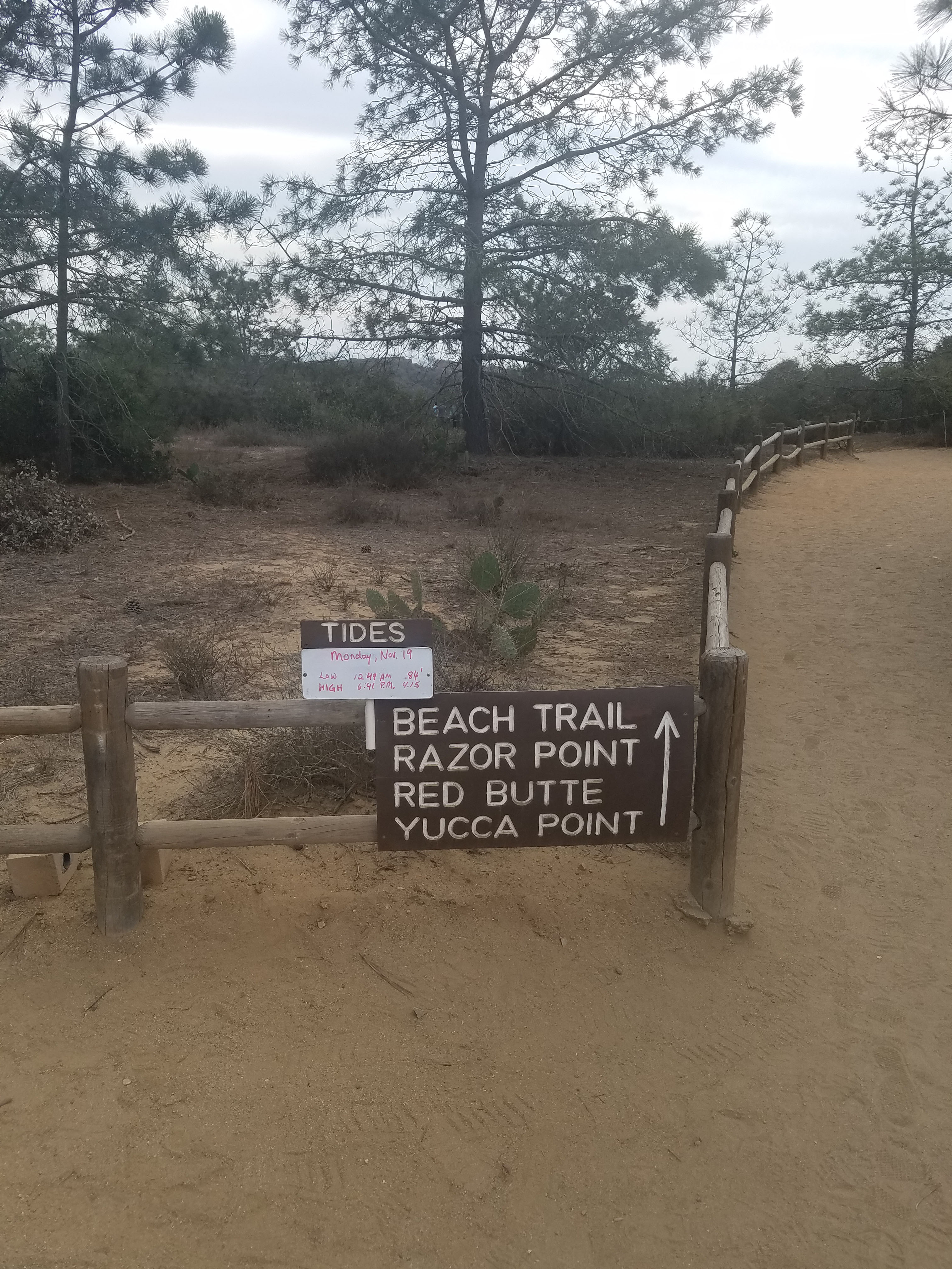 Red Butte, Razor Point Trail, and Yucca Point Trail
