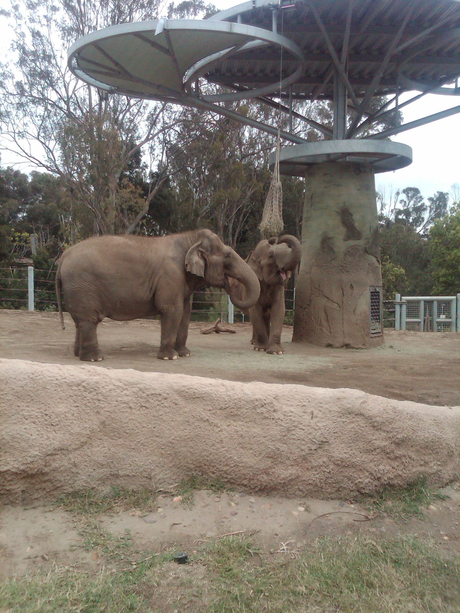 San Diego Zoo Animal Park