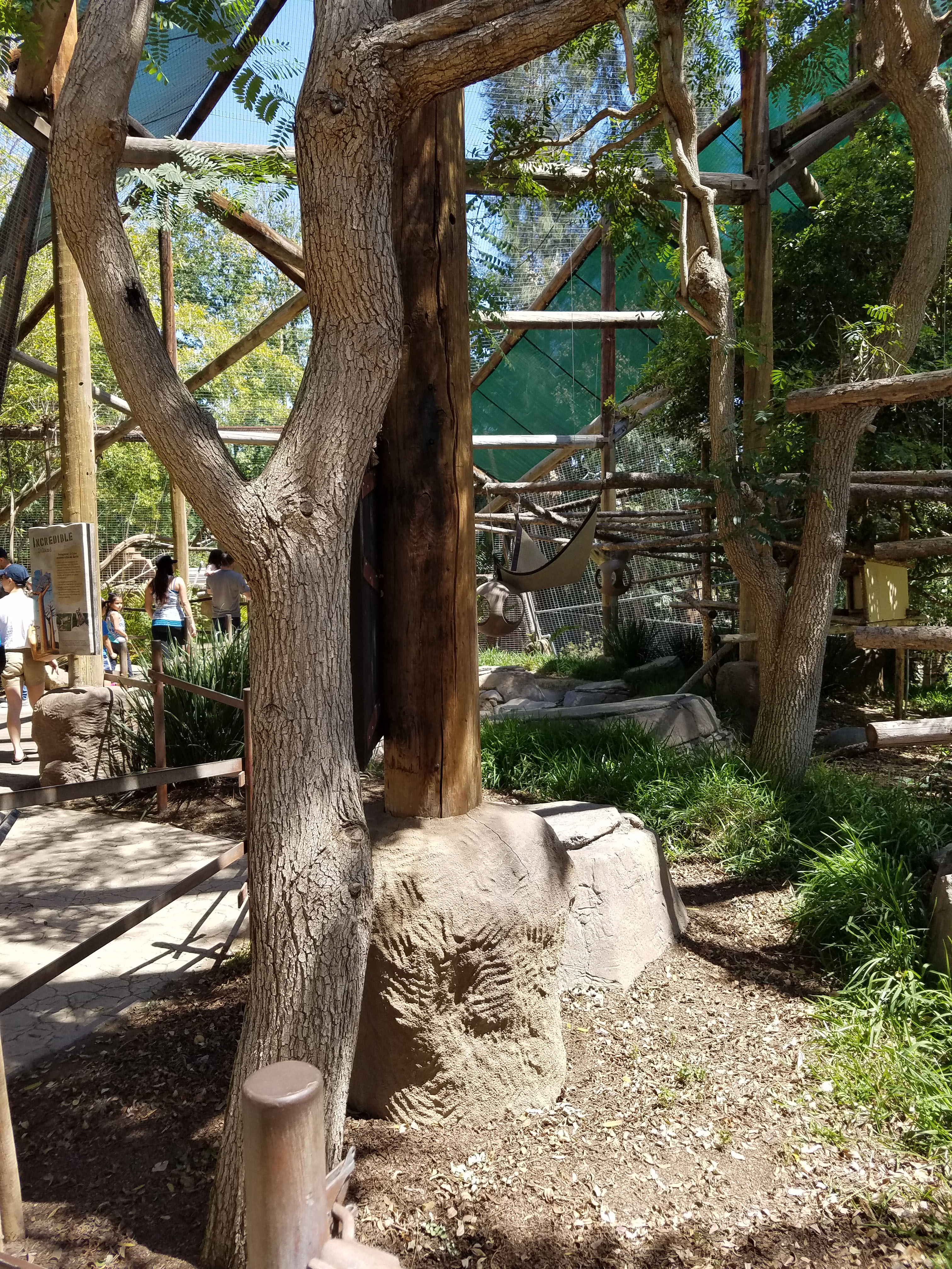 San Diego Zoo Safari Park Walking Guides