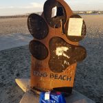 Dog Beach Guide