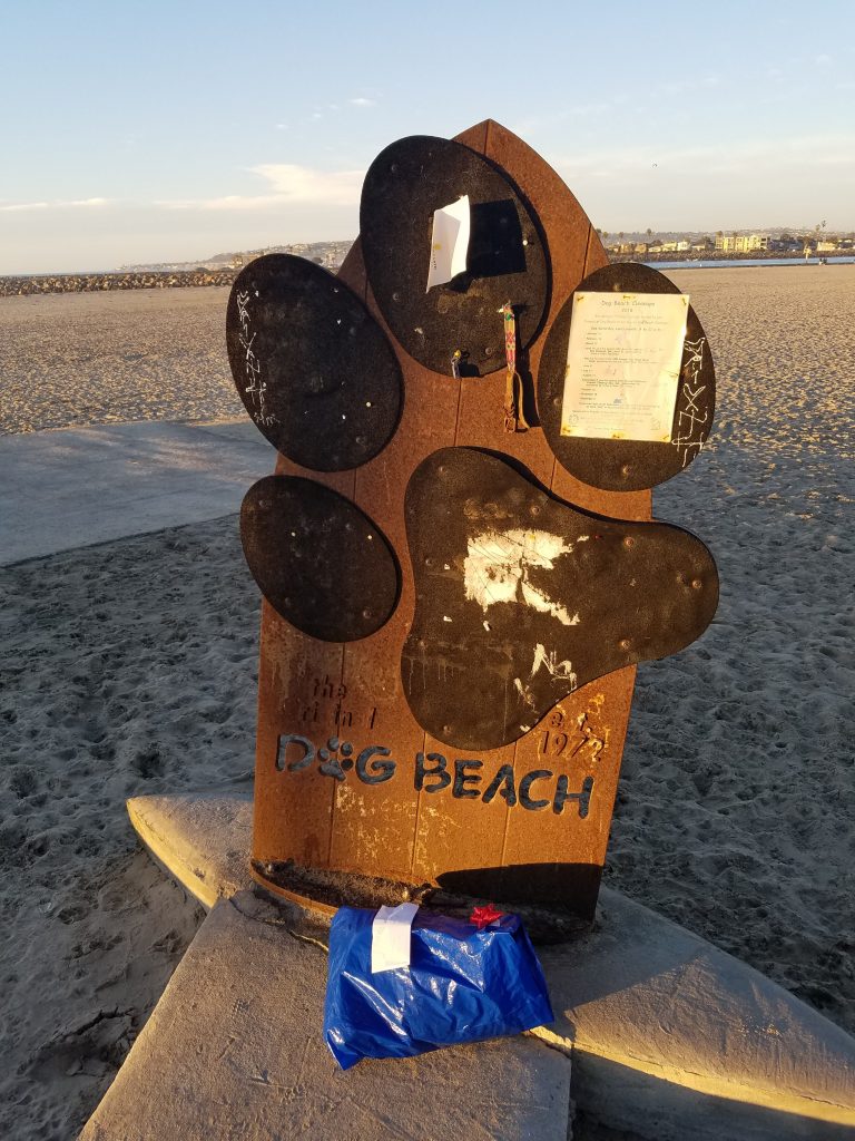 San Diego Beaches: Dog Beach/Voltaire Beach
