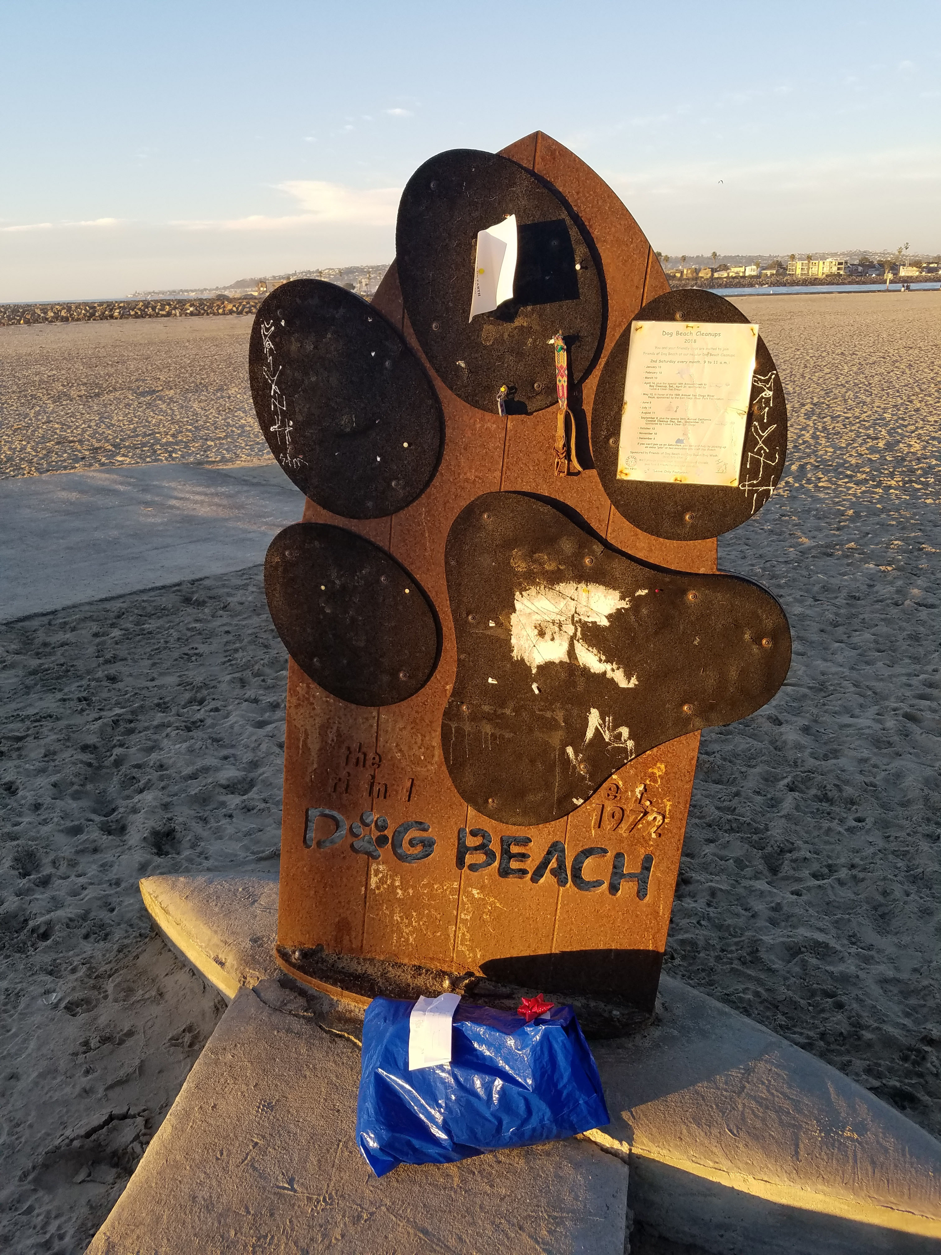 Dog Beach Guide