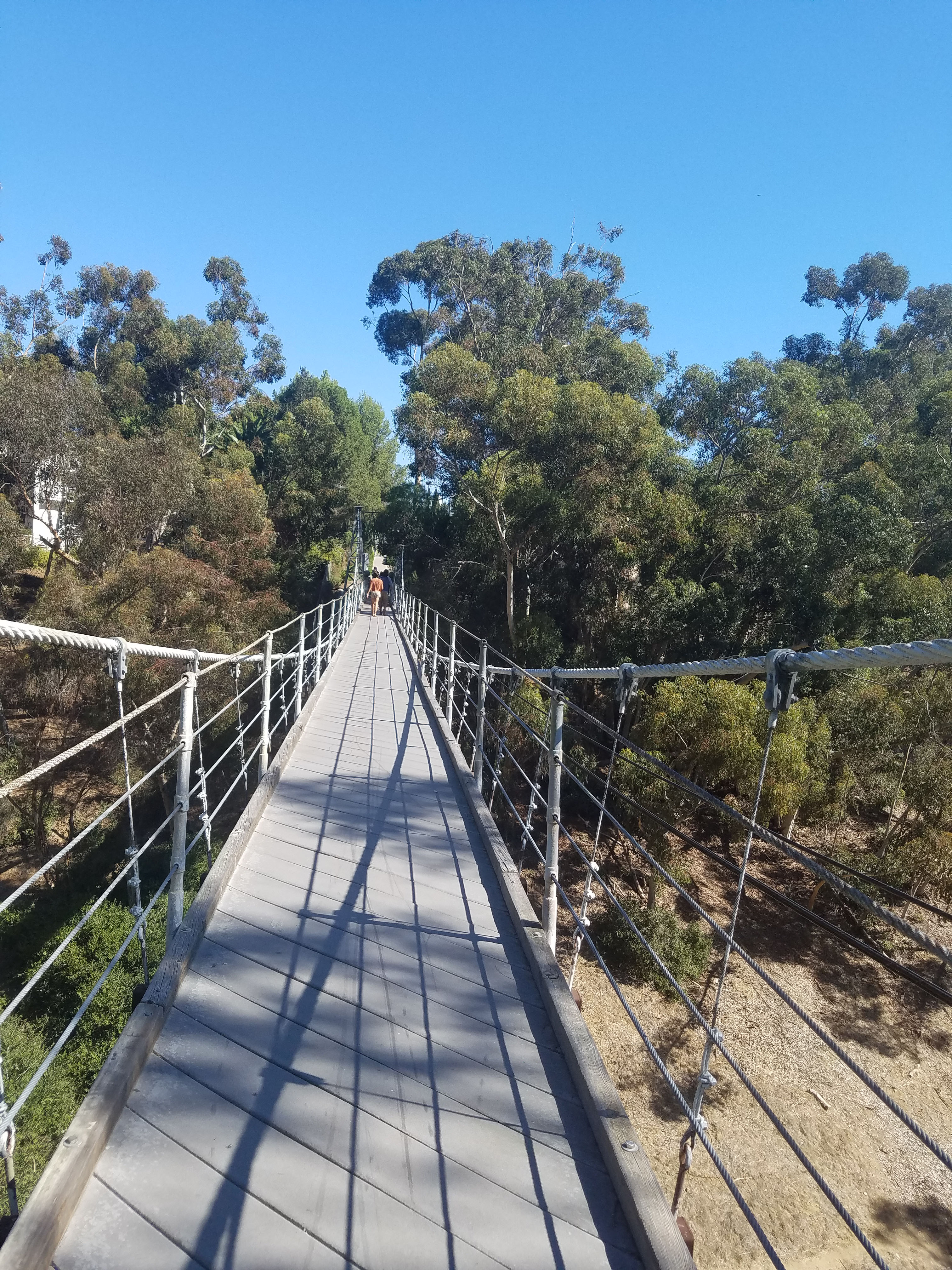 Seven Bridges Hike