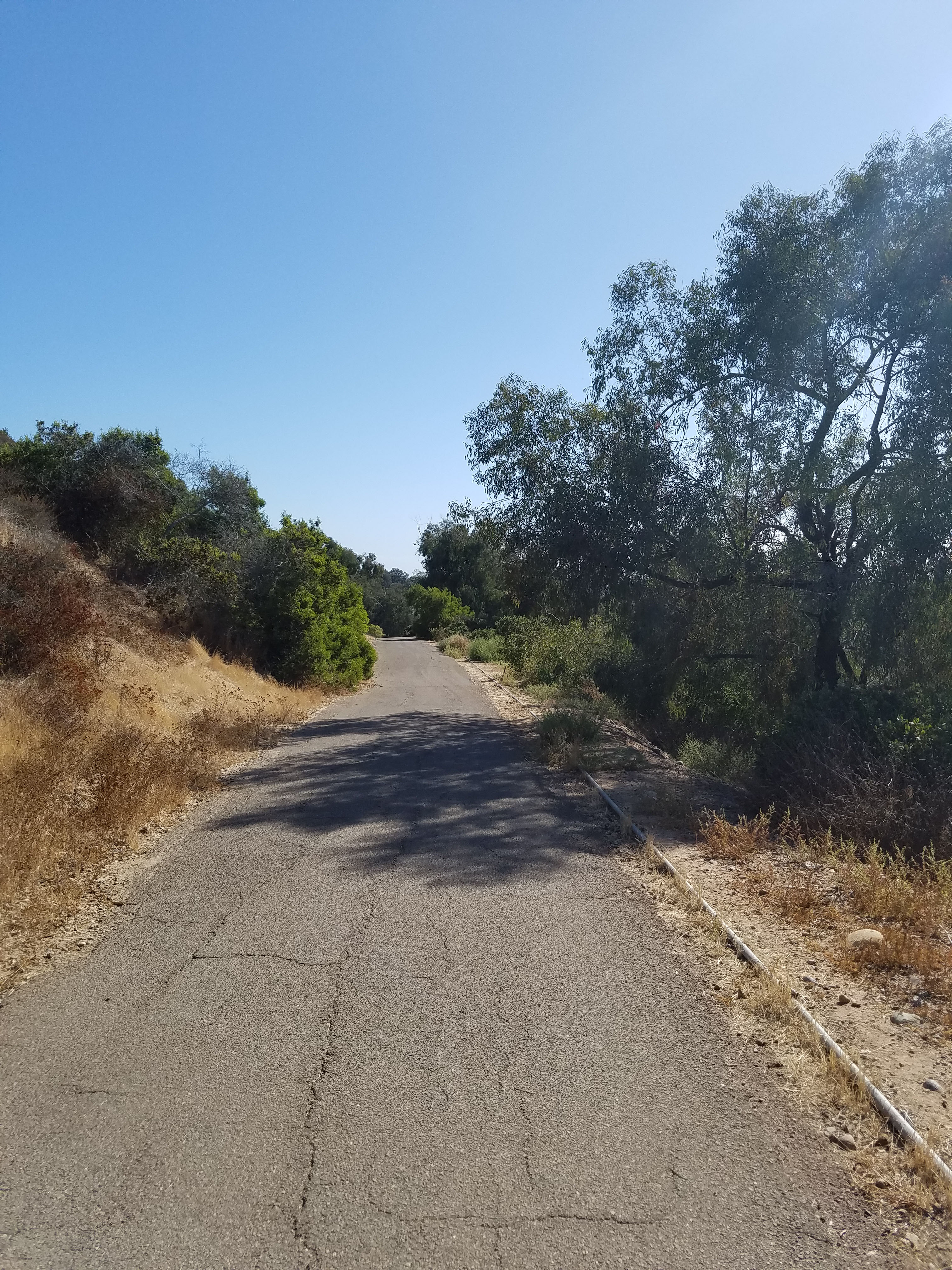 La Jolla Bike Path