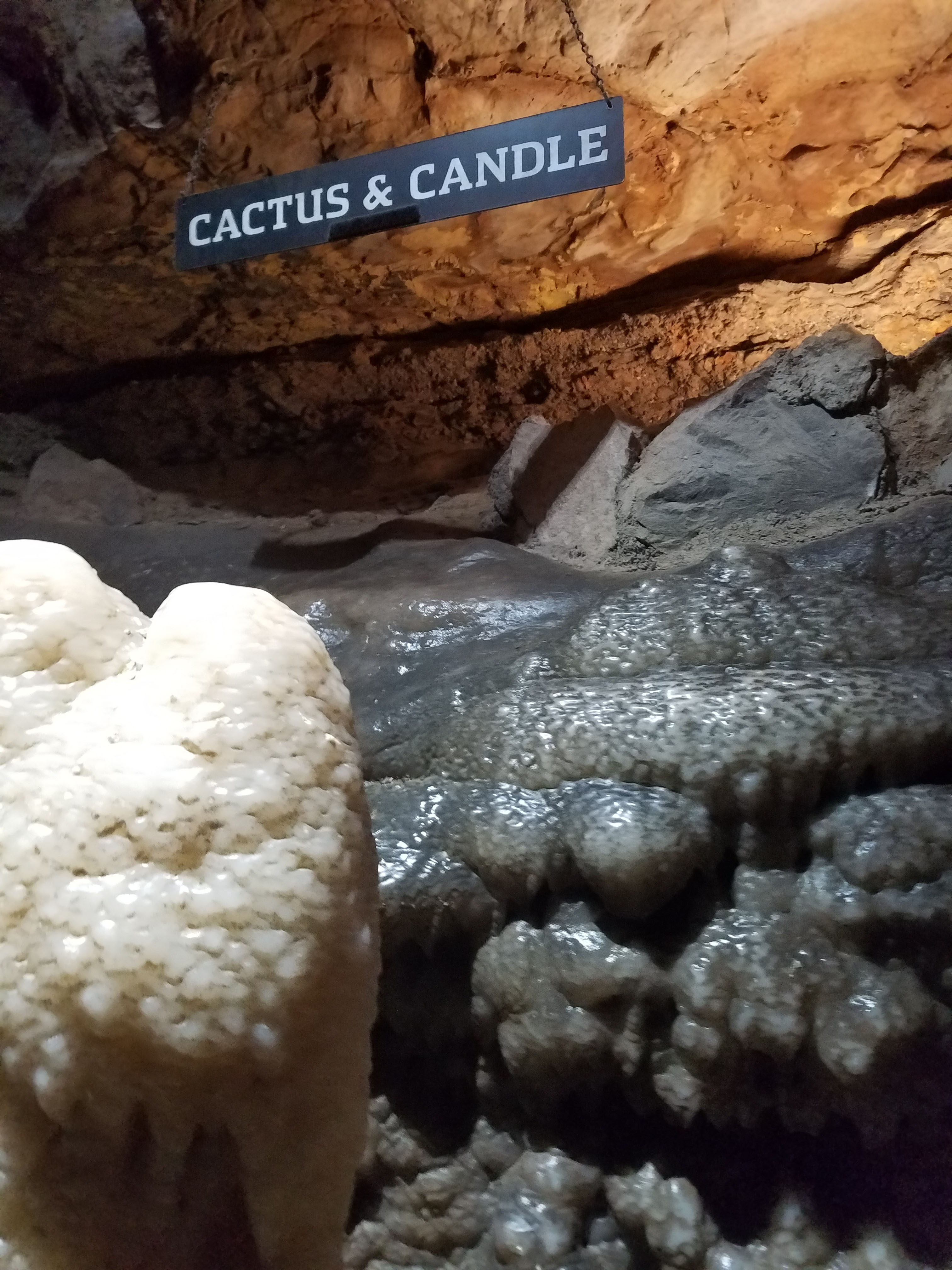 Ruby Falls Cactus & Candle