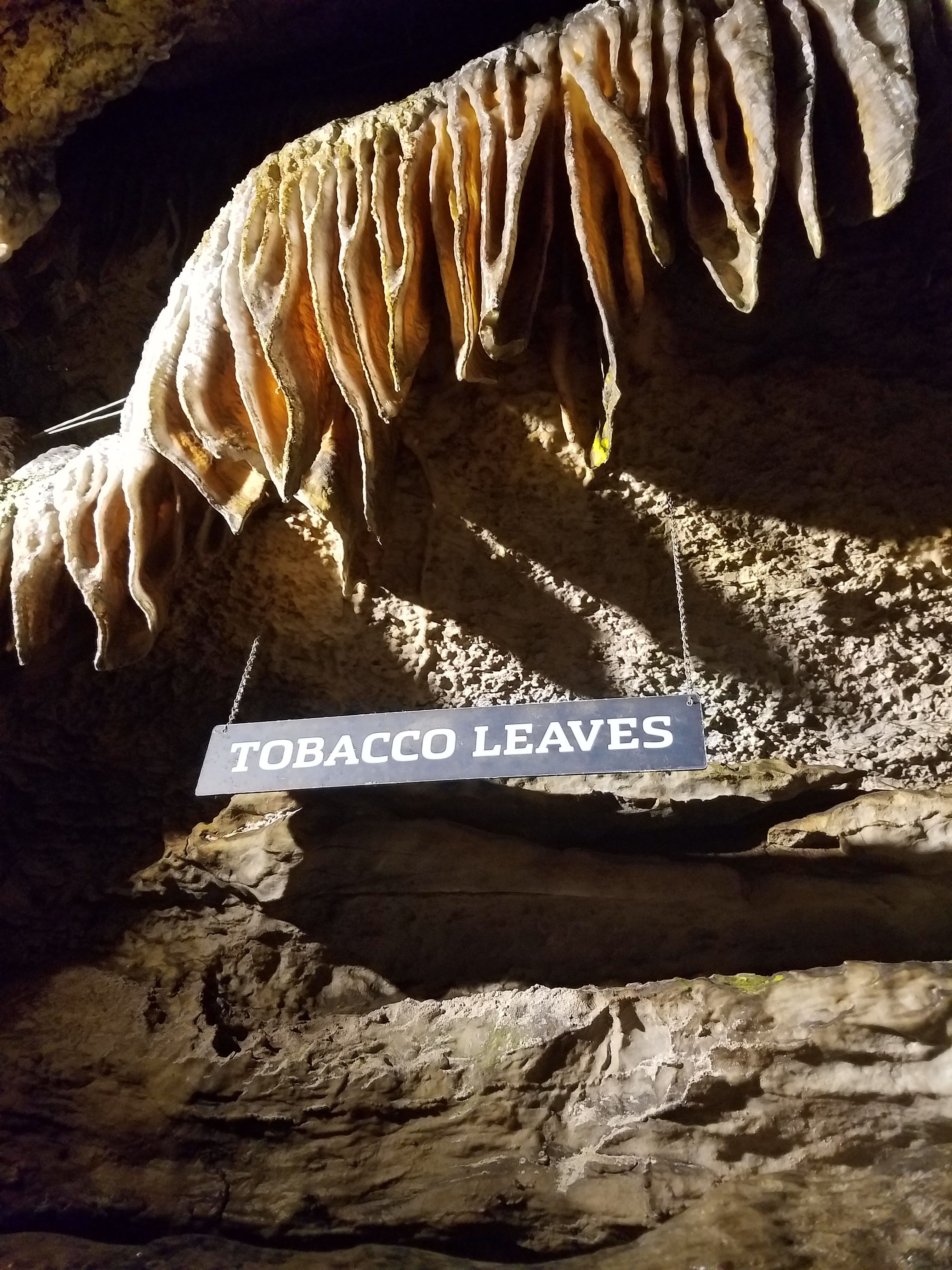 Ruby Falls Tobacco Leaves