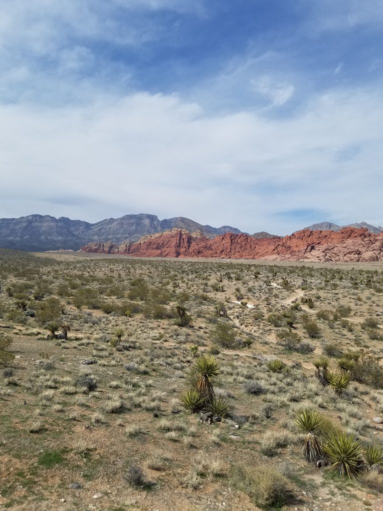 Las Vegas Adventure: Red Rock Canyon Natural Conservation Area