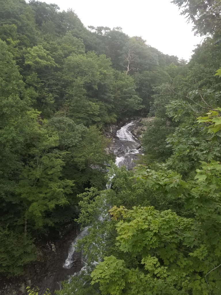 Hiking Shenandoah: Whiteoak Canyon Hike to Upper Falls