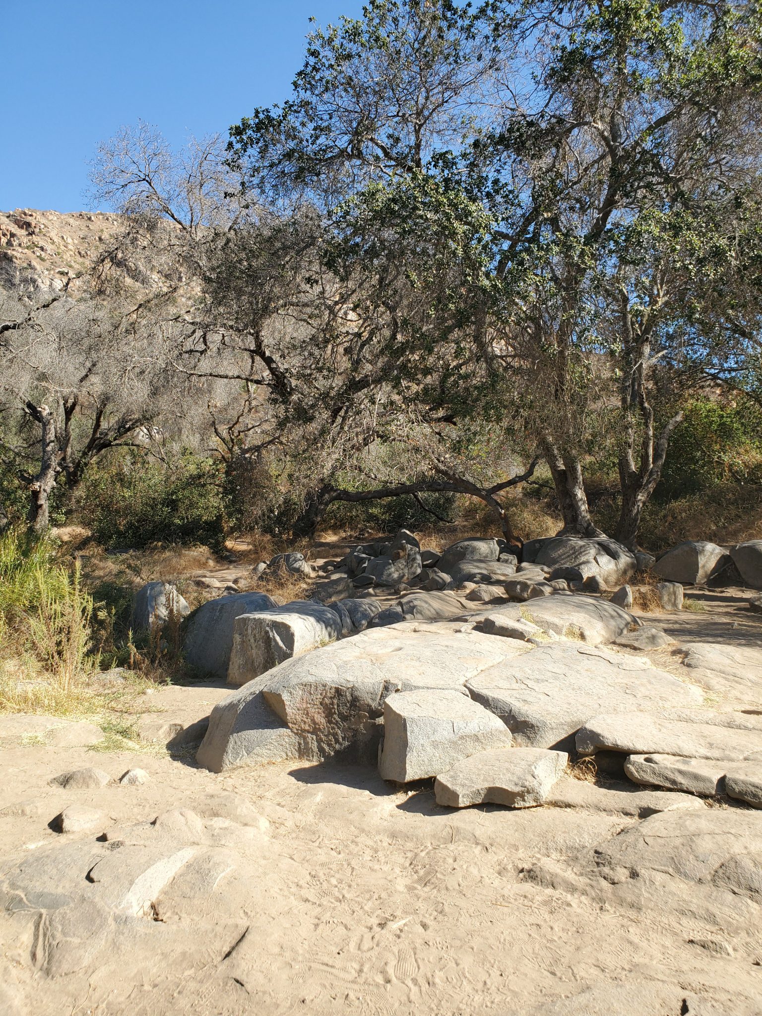 Grinding Rocks Trail