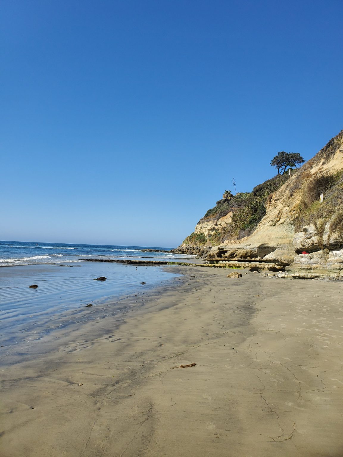 San Diego Beaches: Swami’s Beach Encinitas - Fun Diego Family