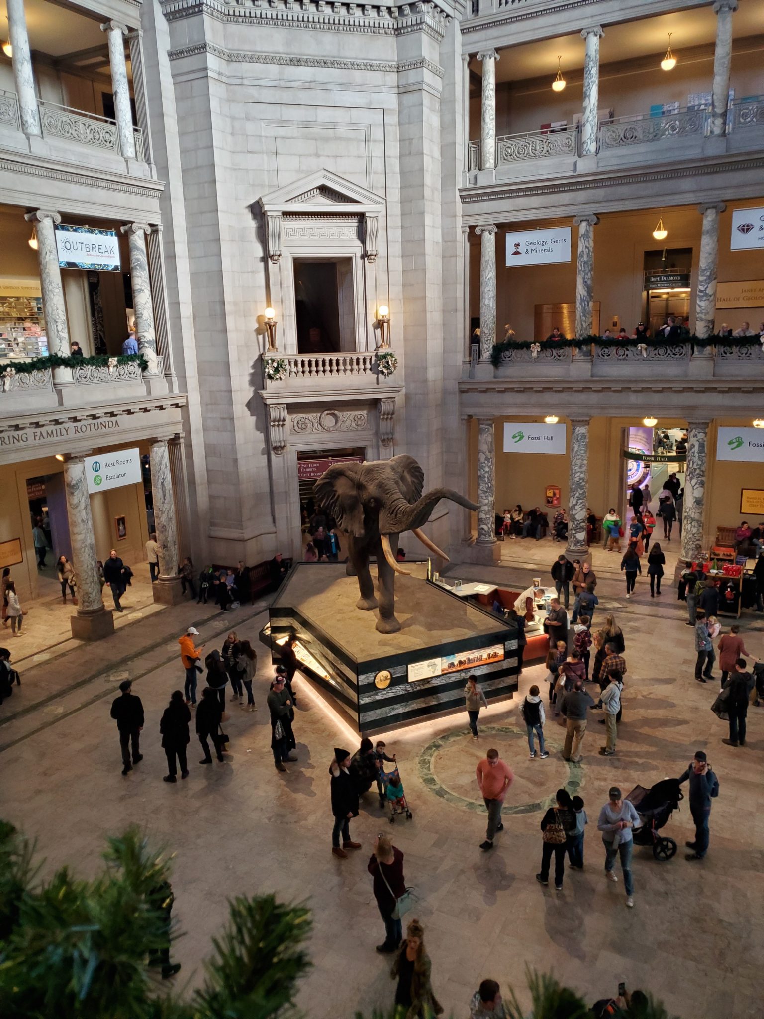 Do-It-Yourself Exhibits  Smithsonian National Museum of Natural History